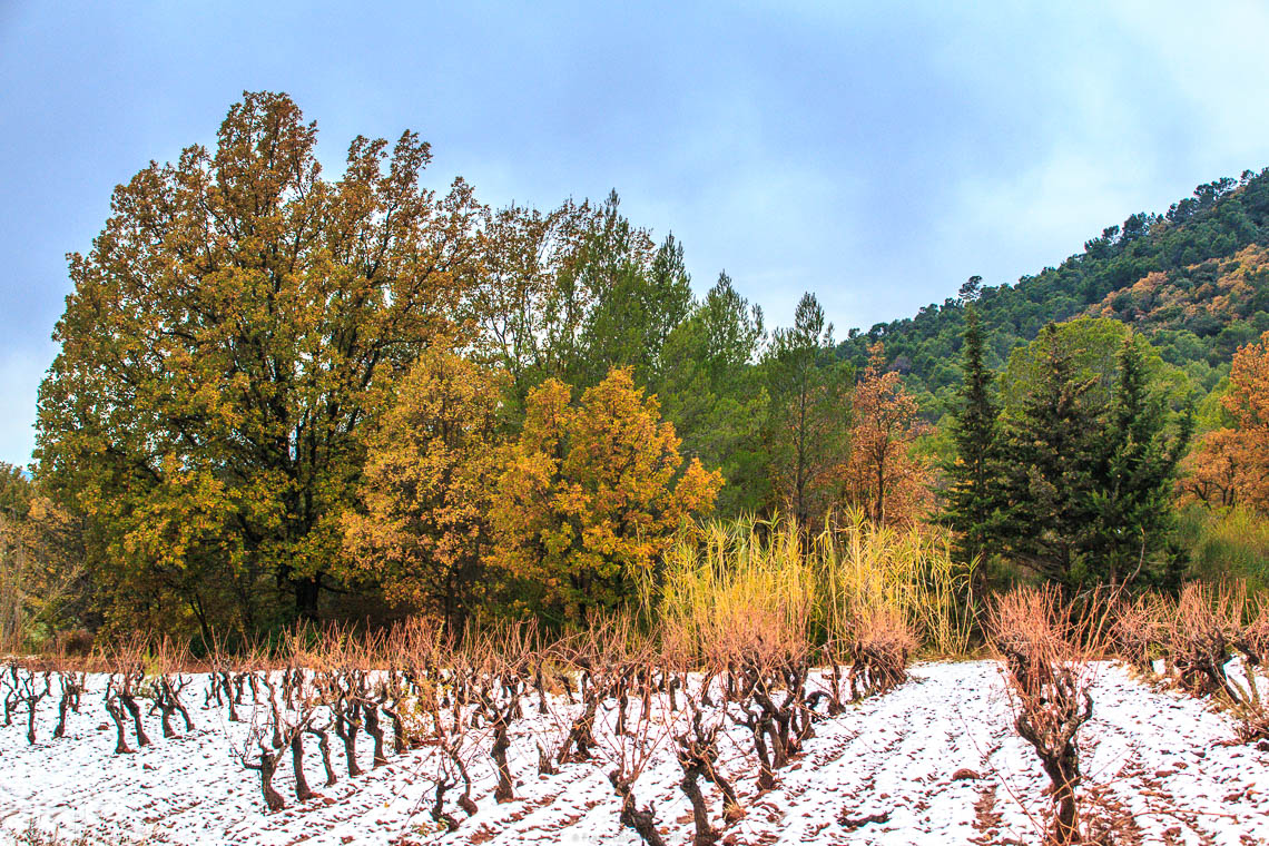 accumulation,périgrination,Photographies - Photographies - Frank César LOVISOLO - L’accumulation est une technique artistique popularisée par Arman, artiste français qui l’a beaucoup travaillée et théorisée. Tel qu’Arman la définit et la produit, l’accumulation est un rassemblement d’objets identiques dans une très grande quantité, généralement fondue dans du plexiglas.