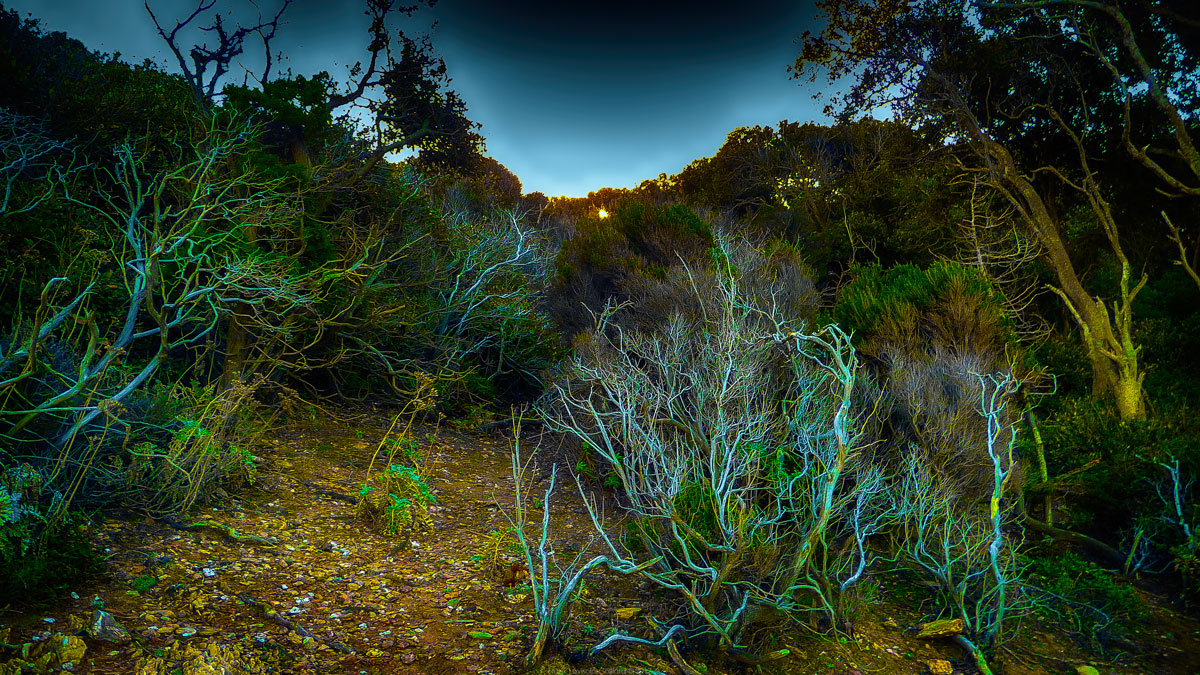 accumulation,périgrination,Photographies - Photographies - Frank César LOVISOLO - L’accumulation est une technique artistique popularisée par Arman, artiste français qui l’a beaucoup travaillée et théorisée. Tel qu’Arman la définit et la produit, l’accumulation est un rassemblement d’objets identiques dans une très grande quantité, généralement fondue dans du plexiglas.