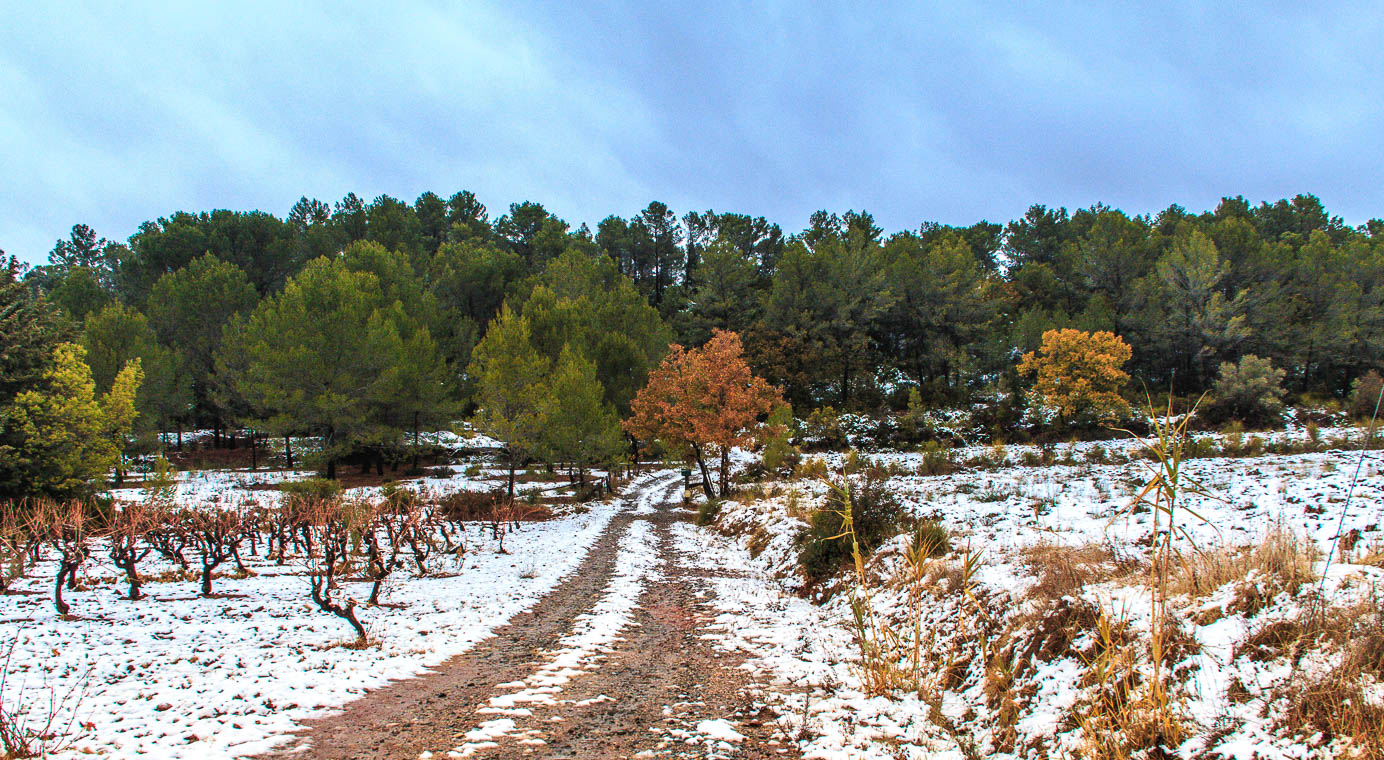 accumulation,périgrination,Photographies - Photographies - Frank César LOVISOLO - L’accumulation est une technique artistique popularisée par Arman, artiste français qui l’a beaucoup travaillée et théorisée. Tel qu’Arman la définit et la produit, l’accumulation est un rassemblement d’objets identiques dans une très grande quantité, généralement fondue dans du plexiglas.
