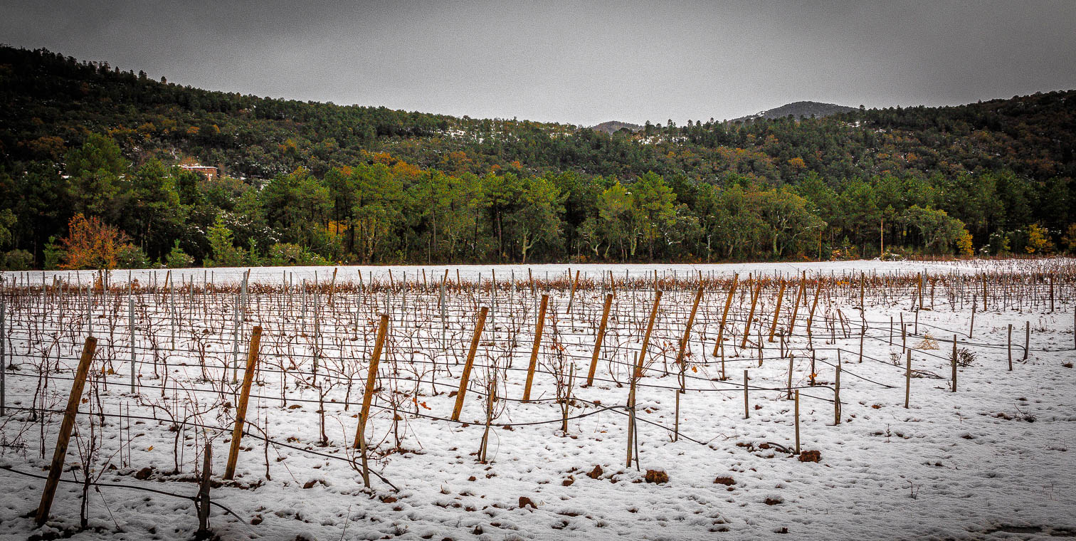accumulation,périgrination,Photographies - Photographies - Frank César LOVISOLO - L’accumulation est une technique artistique popularisée par Arman, artiste français qui l’a beaucoup travaillée et théorisée. Tel qu’Arman la définit et la produit, l’accumulation est un rassemblement d’objets identiques dans une très grande quantité, généralement fondue dans du plexiglas.