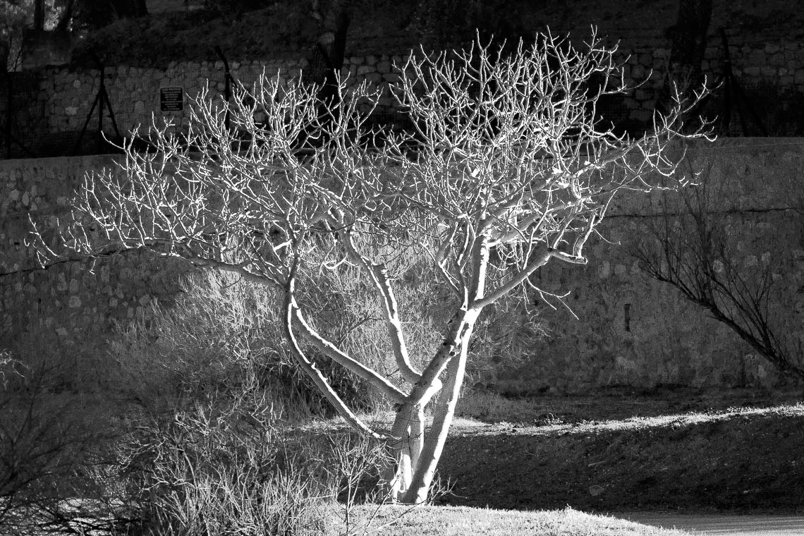 accumulation,périgrination,Photographies - Photographies - Frank César LOVISOLO - L’accumulation est une technique artistique popularisée par Arman, artiste français qui l’a beaucoup travaillée et théorisée. Tel qu’Arman la définit et la produit, l’accumulation est un rassemblement d’objets identiques dans une très grande quantité, généralement fondue dans du plexiglas.