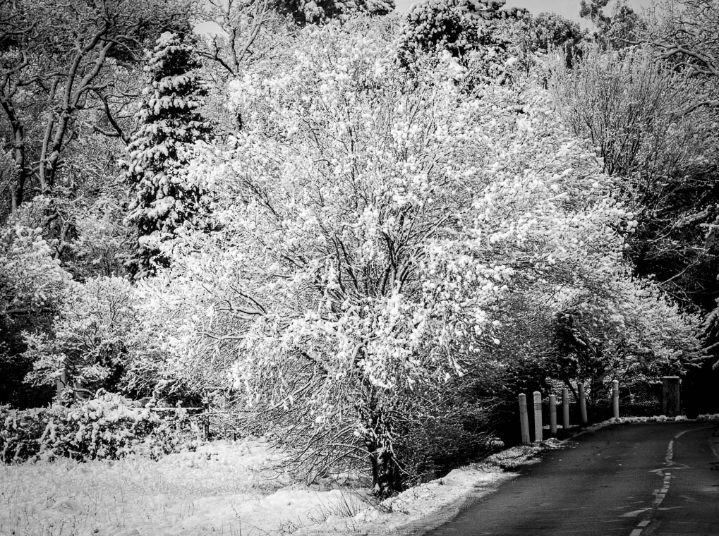 accumulation,périgrination,Photographies - Photographies - Frank César LOVISOLO - L’accumulation est une technique artistique popularisée par Arman, artiste français qui l’a beaucoup travaillée et théorisée. Tel qu’Arman la définit et la produit, l’accumulation est un rassemblement d’objets identiques dans une très grande quantité, généralement fondue dans du plexiglas.