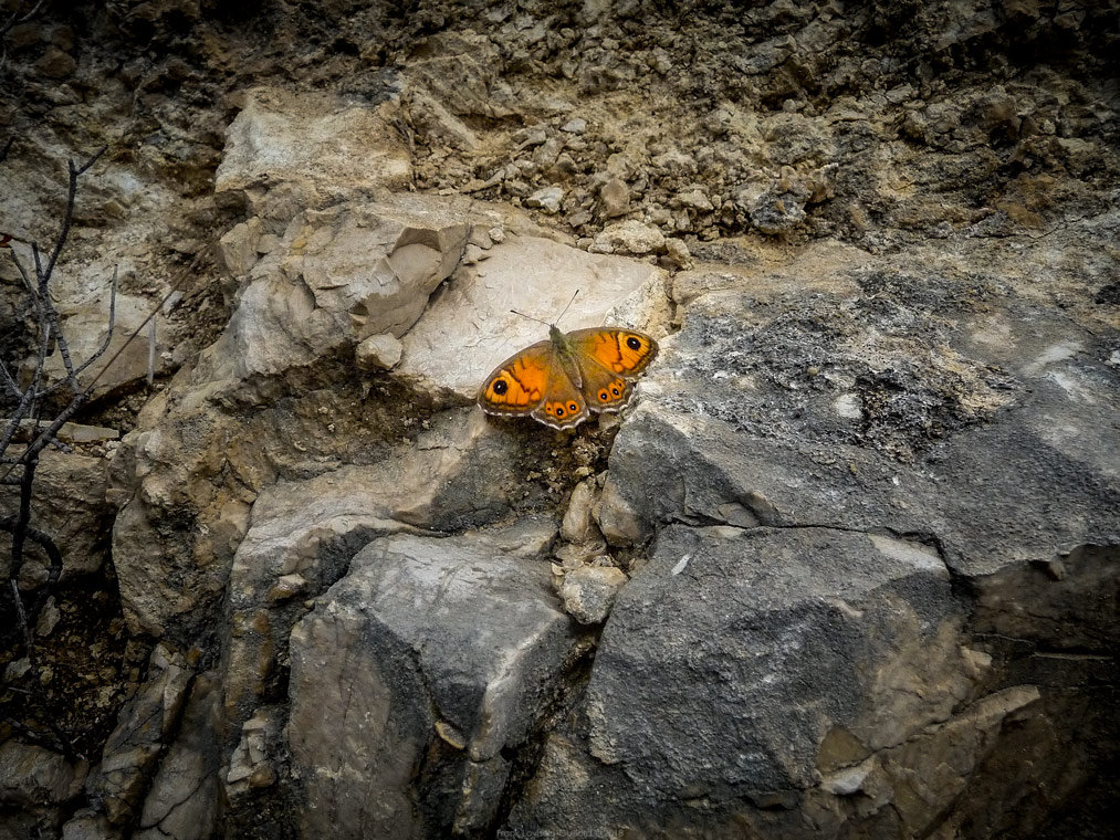 accumulation,périgrination,Photographies - Photographies - Frank César LOVISOLO - L’accumulation est une technique artistique popularisée par Arman, artiste français qui l’a beaucoup travaillée et théorisée. Tel qu’Arman la définit et la produit, l’accumulation est un rassemblement d’objets identiques dans une très grande quantité, généralement fondue dans du plexiglas.