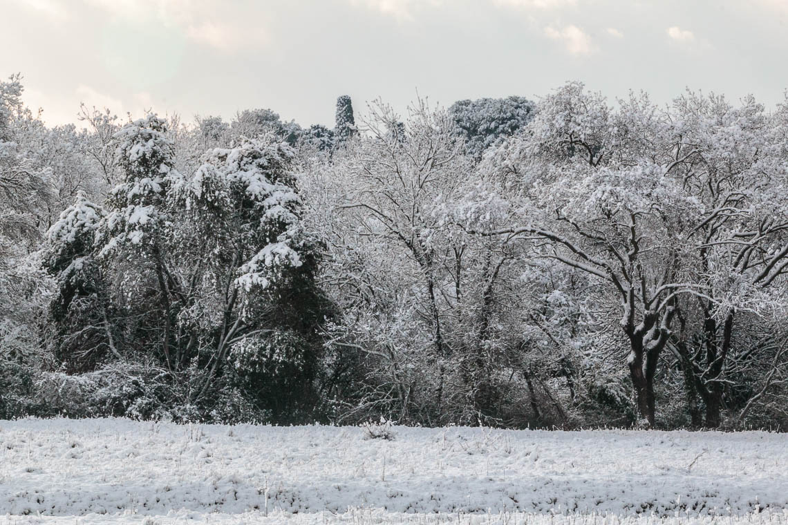 accumulation,périgrination,Photographies - Photographies - Frank César LOVISOLO - L’accumulation est une technique artistique popularisée par Arman, artiste français qui l’a beaucoup travaillée et théorisée. Tel qu’Arman la définit et la produit, l’accumulation est un rassemblement d’objets identiques dans une très grande quantité, généralement fondue dans du plexiglas.