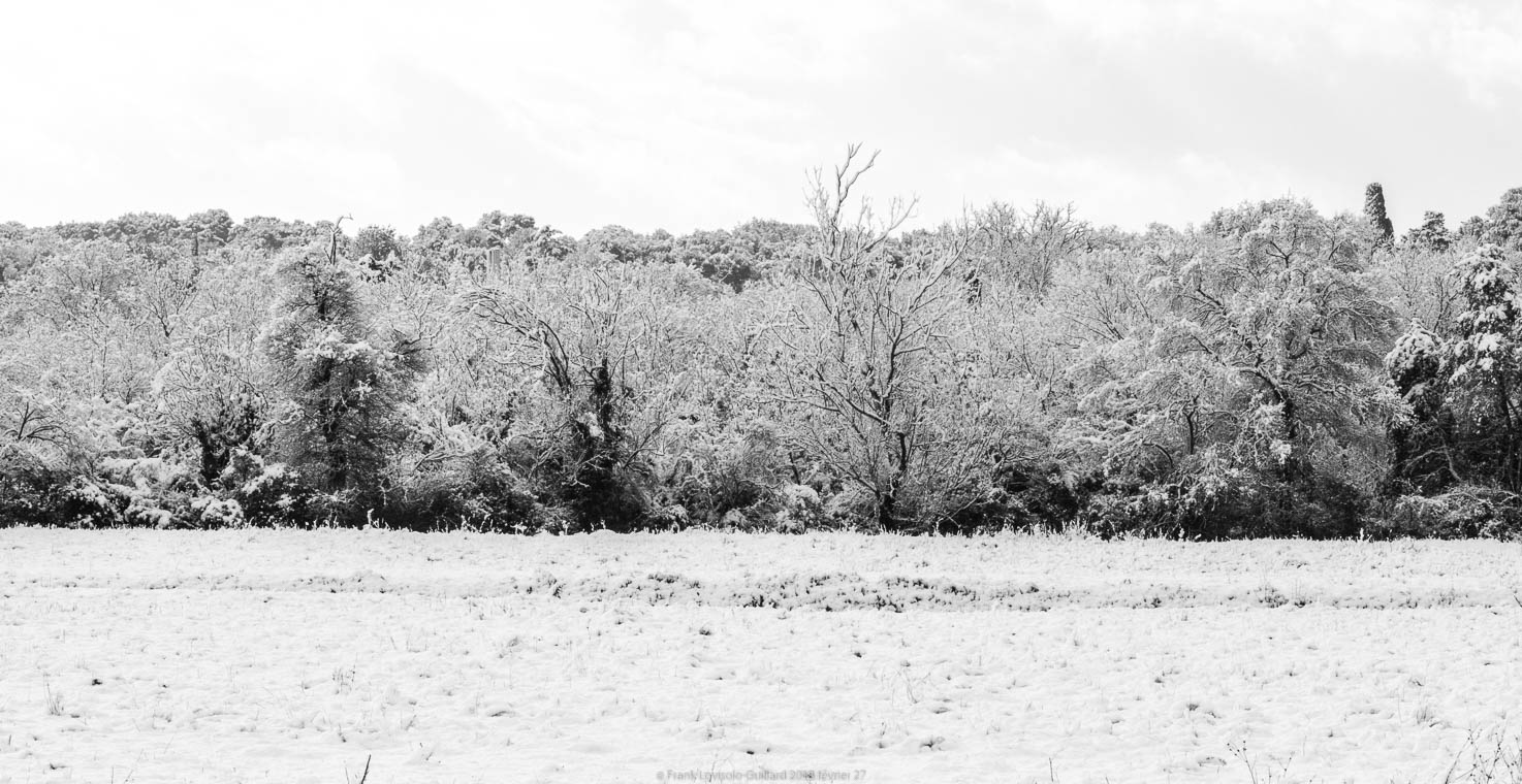 accumulation,périgrination,Photographies - Photographies - Frank César LOVISOLO - L’accumulation est une technique artistique popularisée par Arman, artiste français qui l’a beaucoup travaillée et théorisée. Tel qu’Arman la définit et la produit, l’accumulation est un rassemblement d’objets identiques dans une très grande quantité, généralement fondue dans du plexiglas.