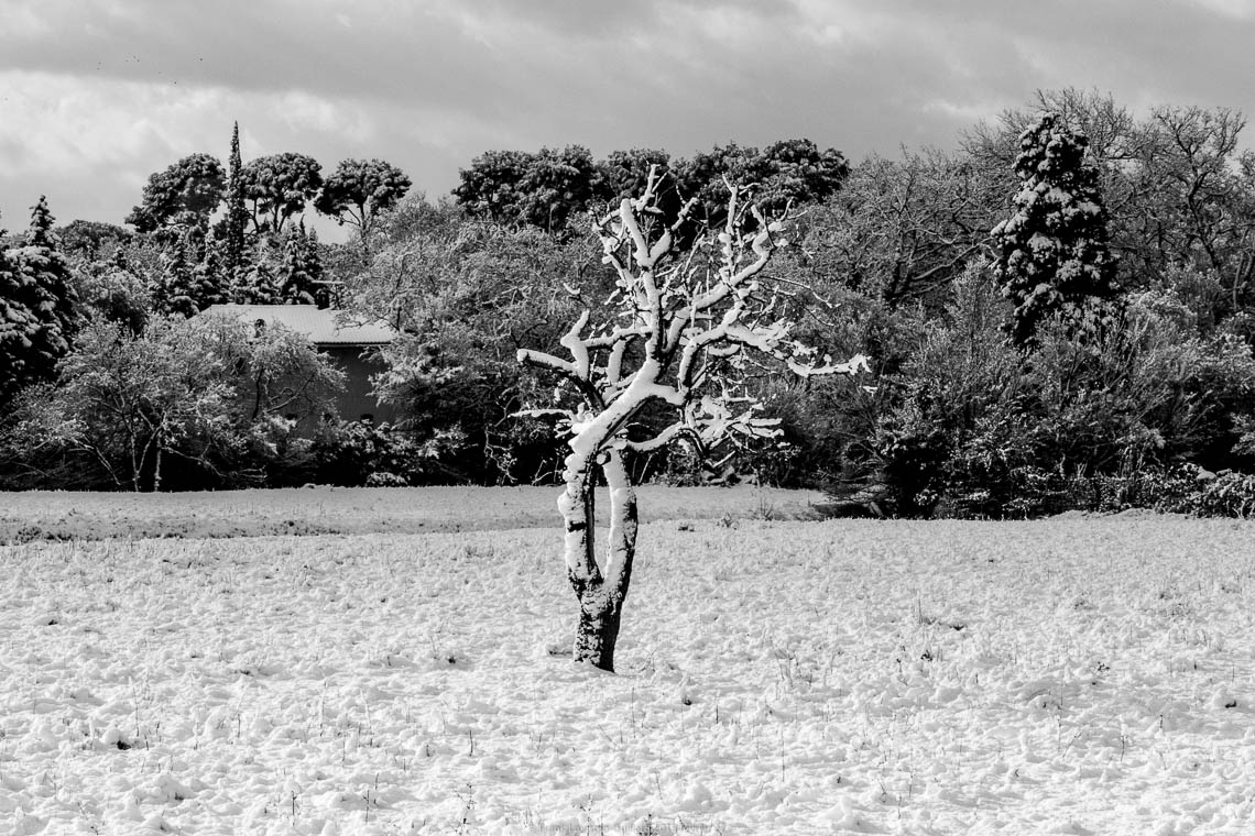 accumulation,périgrination,Photographies - Photographies - Frank César LOVISOLO - L’accumulation est une technique artistique popularisée par Arman, artiste français qui l’a beaucoup travaillée et théorisée. Tel qu’Arman la définit et la produit, l’accumulation est un rassemblement d’objets identiques dans une très grande quantité, généralement fondue dans du plexiglas.