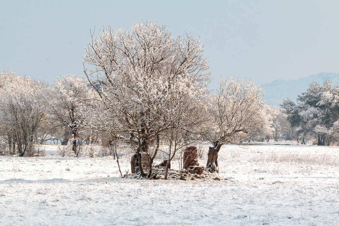 accumulation,périgrination,Photographies - Photographies - Frank César LOVISOLO - L’accumulation est une technique artistique popularisée par Arman, artiste français qui l’a beaucoup travaillée et théorisée. Tel qu’Arman la définit et la produit, l’accumulation est un rassemblement d’objets identiques dans une très grande quantité, généralement fondue dans du plexiglas.