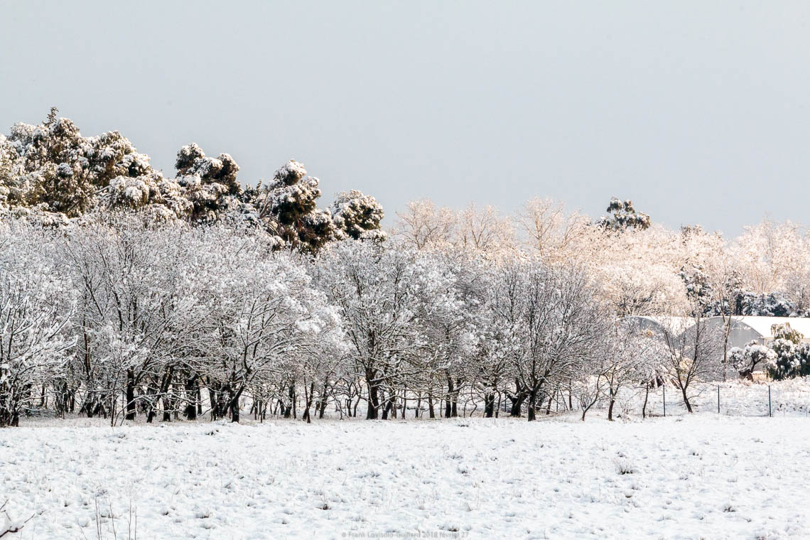 accumulation,périgrination,Photographies - Photographies - Frank César LOVISOLO - L’accumulation est une technique artistique popularisée par Arman, artiste français qui l’a beaucoup travaillée et théorisée. Tel qu’Arman la définit et la produit, l’accumulation est un rassemblement d’objets identiques dans une très grande quantité, généralement fondue dans du plexiglas.