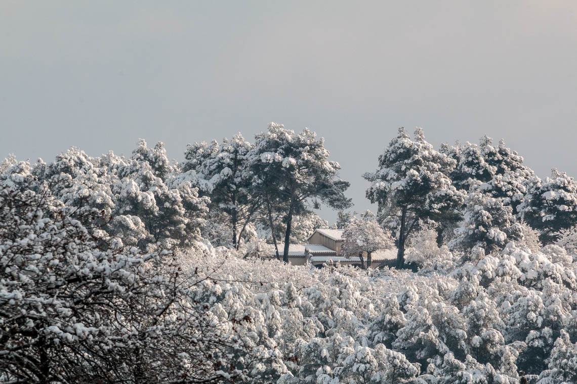 accumulation,périgrination,Photographies - Photographies - Frank César LOVISOLO - L’accumulation est une technique artistique popularisée par Arman, artiste français qui l’a beaucoup travaillée et théorisée. Tel qu’Arman la définit et la produit, l’accumulation est un rassemblement d’objets identiques dans une très grande quantité, généralement fondue dans du plexiglas.