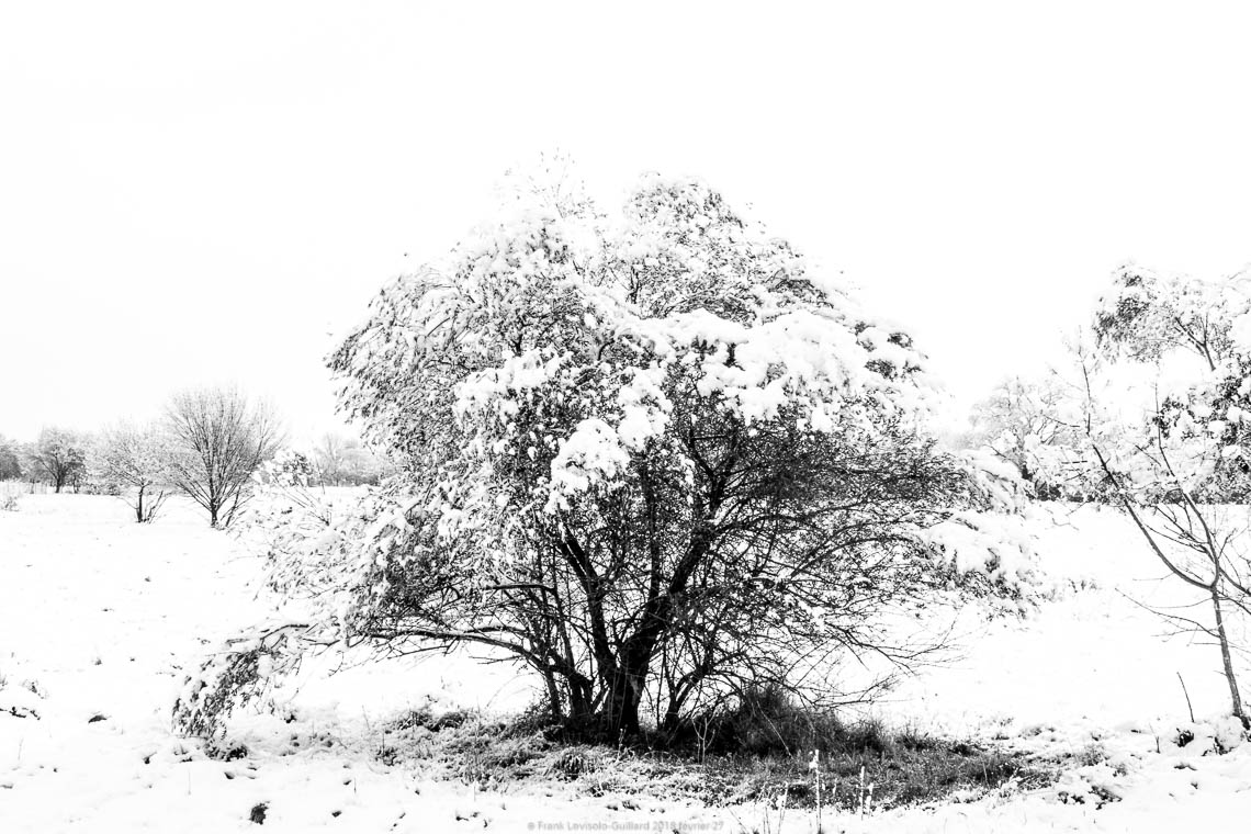 accumulation,périgrination,Photographies - Photographies - Frank César LOVISOLO - L’accumulation est une technique artistique popularisée par Arman, artiste français qui l’a beaucoup travaillée et théorisée. Tel qu’Arman la définit et la produit, l’accumulation est un rassemblement d’objets identiques dans une très grande quantité, généralement fondue dans du plexiglas.
