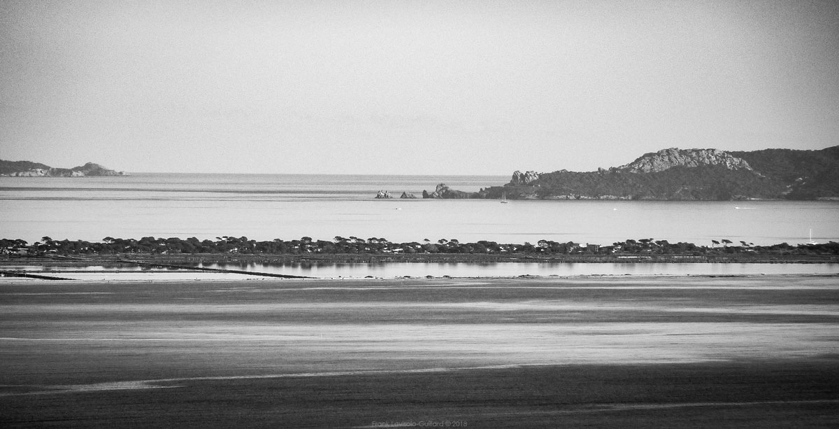 accumulation,périgrination,Photographies - Photographies - Frank César LOVISOLO - L’accumulation est une technique artistique popularisée par Arman, artiste français qui l’a beaucoup travaillée et théorisée. Tel qu’Arman la définit et la produit, l’accumulation est un rassemblement d’objets identiques dans une très grande quantité, généralement fondue dans du plexiglas.