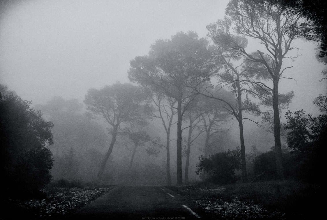 accumulation,périgrination,Photographies - Photographies - Frank César LOVISOLO - L’accumulation est une technique artistique popularisée par Arman, artiste français qui l’a beaucoup travaillée et théorisée. Tel qu’Arman la définit et la produit, l’accumulation est un rassemblement d’objets identiques dans une très grande quantité, généralement fondue dans du plexiglas.