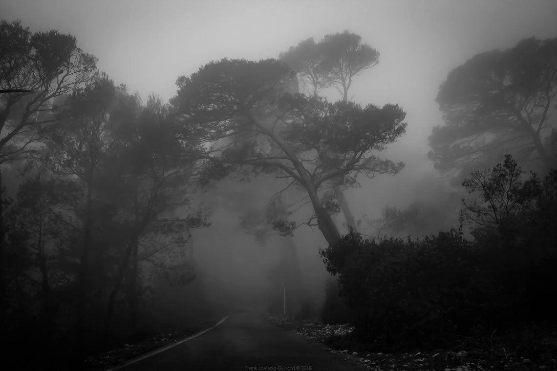 accumulation,périgrination,Photographies - Photographies - Frank César LOVISOLO - L’accumulation est une technique artistique popularisée par Arman, artiste français qui l’a beaucoup travaillée et théorisée. Tel qu’Arman la définit et la produit, l’accumulation est un rassemblement d’objets identiques dans une très grande quantité, généralement fondue dans du plexiglas.