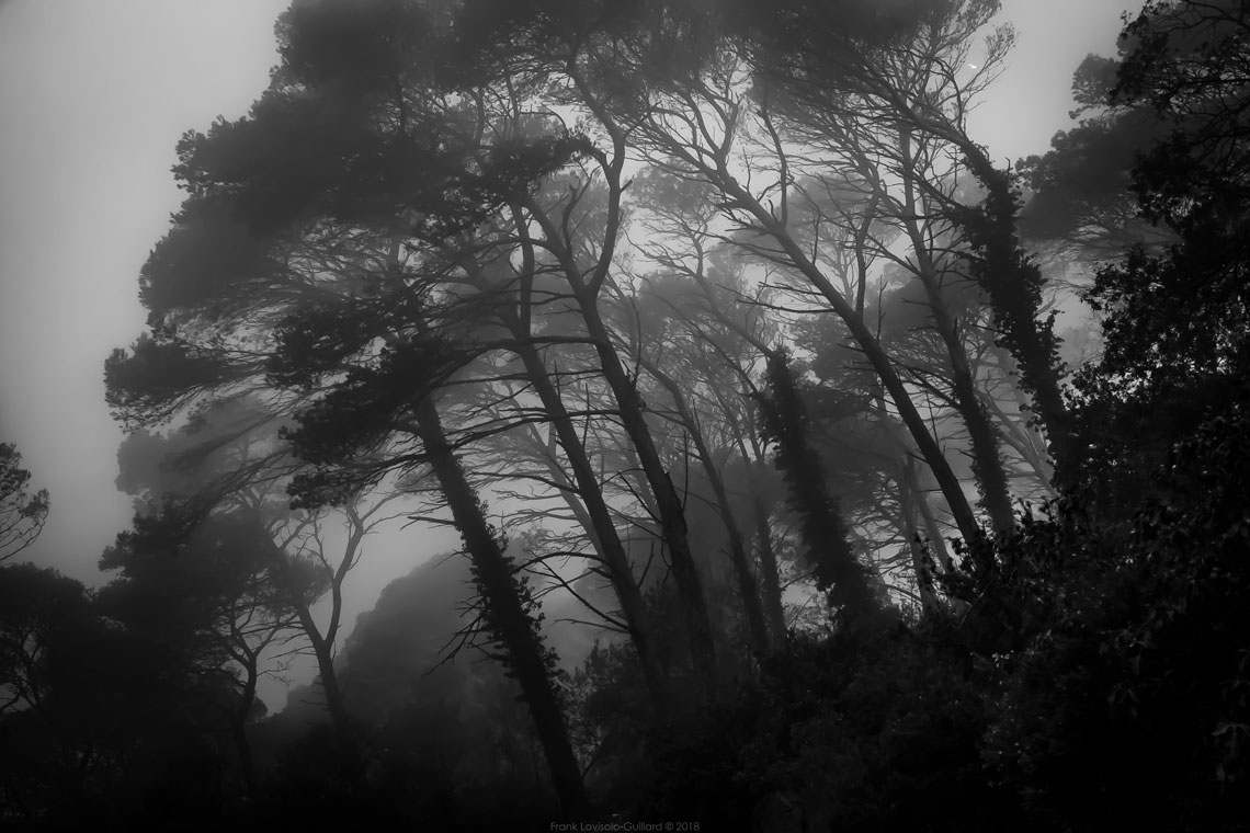 accumulation,périgrination,Photographies - Photographies - Frank César LOVISOLO - L’accumulation est une technique artistique popularisée par Arman, artiste français qui l’a beaucoup travaillée et théorisée. Tel qu’Arman la définit et la produit, l’accumulation est un rassemblement d’objets identiques dans une très grande quantité, généralement fondue dans du plexiglas.