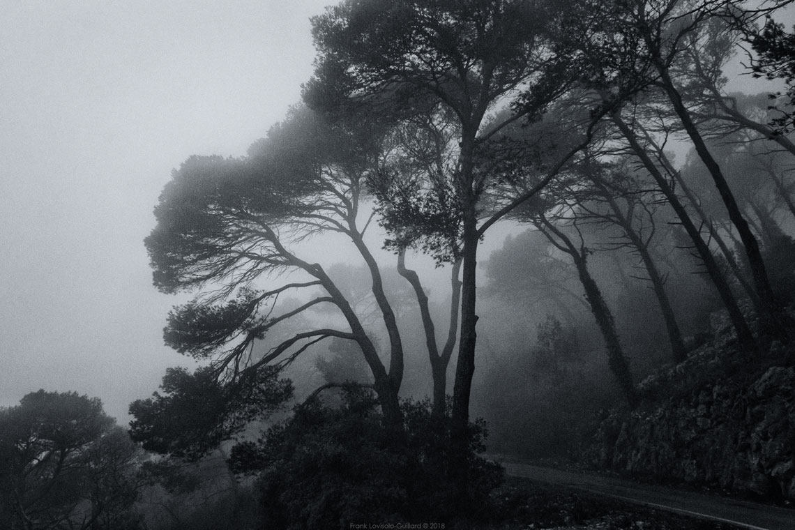 accumulation,périgrination,Photographies - Photographies - Frank César LOVISOLO - L’accumulation est une technique artistique popularisée par Arman, artiste français qui l’a beaucoup travaillée et théorisée. Tel qu’Arman la définit et la produit, l’accumulation est un rassemblement d’objets identiques dans une très grande quantité, généralement fondue dans du plexiglas.