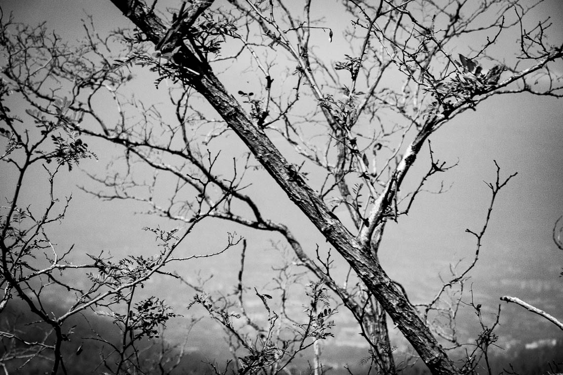 accumulation,périgrination,Photographies - Photographies - Frank César LOVISOLO - L’accumulation est une technique artistique popularisée par Arman, artiste français qui l’a beaucoup travaillée et théorisée. Tel qu’Arman la définit et la produit, l’accumulation est un rassemblement d’objets identiques dans une très grande quantité, généralement fondue dans du plexiglas.