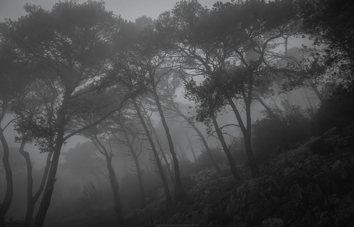 accumulation,périgrination,Photographies - Photographies - Frank César LOVISOLO - L’accumulation est une technique artistique popularisée par Arman, artiste français qui l’a beaucoup travaillée et théorisée. Tel qu’Arman la définit et la produit, l’accumulation est un rassemblement d’objets identiques dans une très grande quantité, généralement fondue dans du plexiglas.