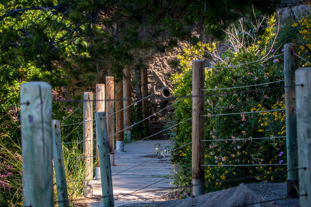Toulon Chemin des Douanes