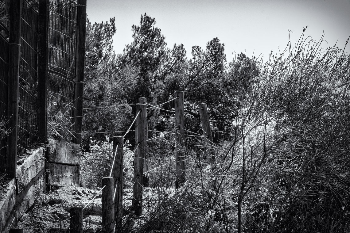 Toulon Chemin des Douanes