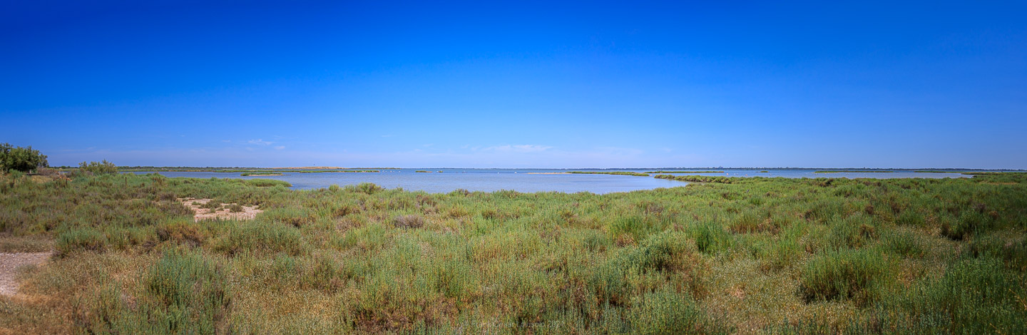 La Pointe du Salaison,Étang de l'Or,Mauguio,Jacques Sourth - Voyage - Frank César LOVISOLO - Ballade bucolique, jusqu'à la Pointe du Salaison, située sur l'Etang de l'Or à 4km de Mauguio et, quasiment, en face de La Grande-Motte qui, avec son incomparable architecture traditionnelle à la région, a su retenir les touristes, sandales-chaussettes, peu propices à la rêverie et néfastes à la photographie!