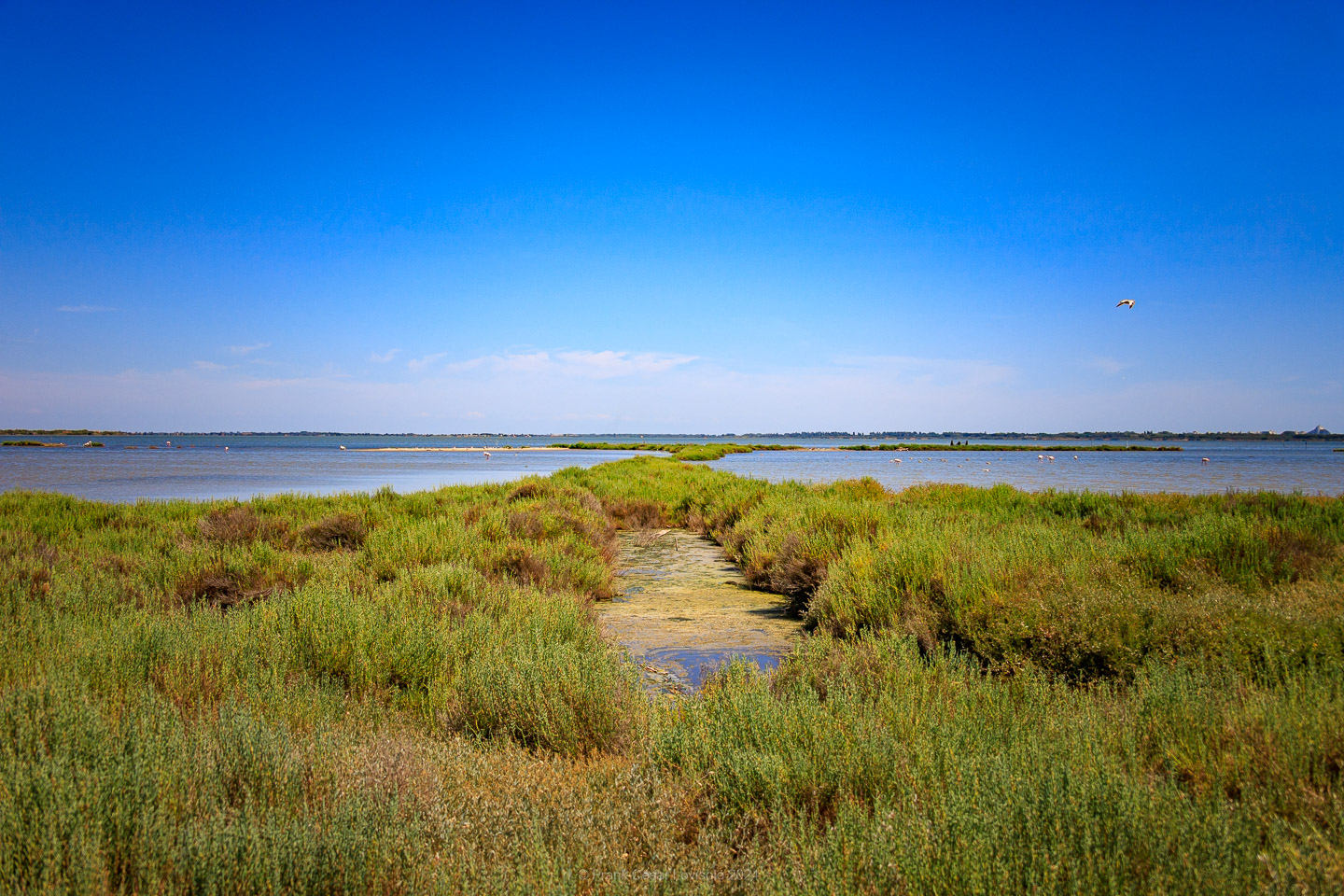 La Pointe du Salaison,Étang de l'Or,Mauguio,Jacques Sourth - Voyage - Frank César LOVISOLO - Ballade bucolique, jusqu'à la Pointe du Salaison, située sur l'Etang de l'Or à 4km de Mauguio et, quasiment, en face de La Grande-Motte qui, avec son incomparable architecture traditionnelle à la région, a su retenir les touristes, sandales-chaussettes, peu propices à la rêverie et néfastes à la photographie!