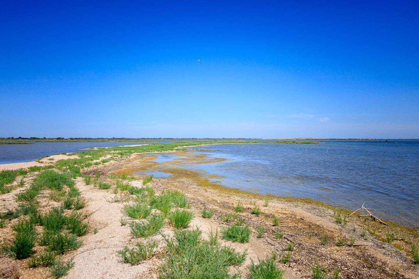 La Pointe du Salaison,Étang de l'Or,Mauguio,Jacques Sourth - Voyage - Frank César LOVISOLO - Ballade bucolique, jusqu'à la Pointe du Salaison, située sur l'Etang de l'Or à 4km de Mauguio et, quasiment, en face de La Grande-Motte qui, avec son incomparable architecture traditionnelle à la région, a su retenir les touristes, sandales-chaussettes, peu propices à la rêverie et néfastes à la photographie!