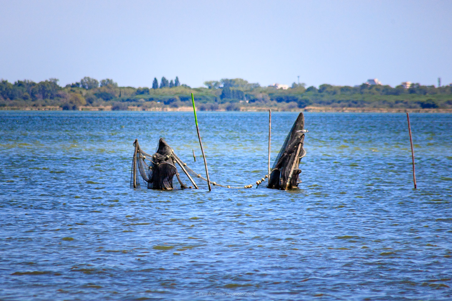 La Pointe du Salaison,Étang de l'Or,Mauguio,Jacques Sourth - Voyage - Frank César LOVISOLO - Ballade bucolique, jusqu'à la Pointe du Salaison, située sur l'Etang de l'Or à 4km de Mauguio et, quasiment, en face de La Grande-Motte qui, avec son incomparable architecture traditionnelle à la région, a su retenir les touristes, sandales-chaussettes, peu propices à la rêverie et néfastes à la photographie!