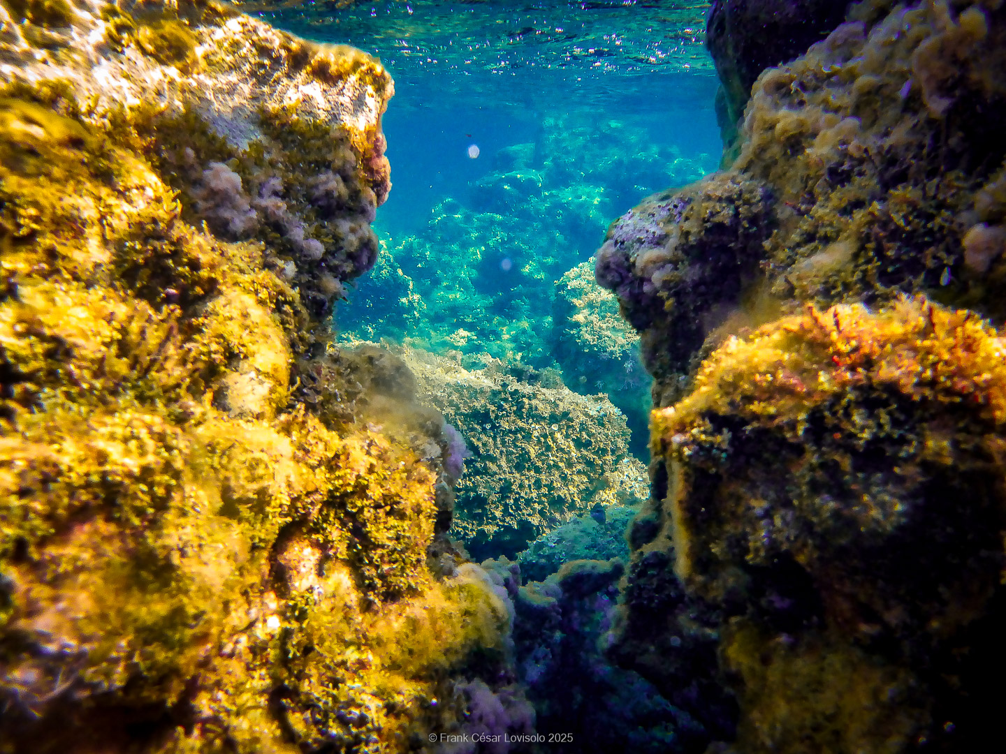 Snorkeling,Le port gréco-romain d’Olbia à Hyères - Sousleaugraphie - Snorkeling - Frank César LOVISOLO - La relation entre l’être humain et le milieu marin s’est progressivement transformée au cours des dernières décennies. Longtemps réservée aux pêcheurs, aux navigateurs ou aux plongeurs aguerris, l’exploration sous-marine s’est démocratisée grâce au développement d’équipements simples et accessibles. La randonnée sous-marine avec palmes et masque, également connue sous le nom de snorkeling, en constitue l’une des pratiques les plus populaires. Elle se caractérise par une immersion en surface, la plupart du temps à faible profondeur, permettant l’observation directe des fonds marins. Si elle est souvent perçue comme une activité de loisir, la randonnée palmée occupe une place croissante dans les domaines de l’éducation, de la sensibilisation à l’environnement et du tourisme durable. L’objectif de cet article est d’analyser cette pratique dans une perspective académique, en abordant successivement ses dimensions écologiques et pédagogiques, ses aspects socio-culturels et touristiques, ainsi que ses retombées physiologiques et sportives.