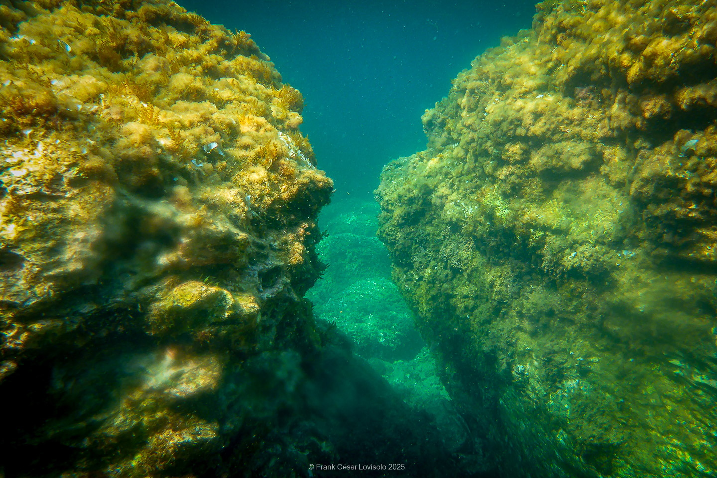 Snorkeling,Le port gréco-romain d’Olbia à Hyères - Sousleaugraphie - Snorkeling - Frank César LOVISOLO - La relation entre l’être humain et le milieu marin s’est progressivement transformée au cours des dernières décennies. Longtemps réservée aux pêcheurs, aux navigateurs ou aux plongeurs aguerris, l’exploration sous-marine s’est démocratisée grâce au développement d’équipements simples et accessibles. La randonnée sous-marine avec palmes et masque, également connue sous le nom de snorkeling, en constitue l’une des pratiques les plus populaires. Elle se caractérise par une immersion en surface, la plupart du temps à faible profondeur, permettant l’observation directe des fonds marins. Si elle est souvent perçue comme une activité de loisir, la randonnée palmée occupe une place croissante dans les domaines de l’éducation, de la sensibilisation à l’environnement et du tourisme durable. L’objectif de cet article est d’analyser cette pratique dans une perspective académique, en abordant successivement ses dimensions écologiques et pédagogiques, ses aspects socio-culturels et touristiques, ainsi que ses retombées physiologiques et sportives.