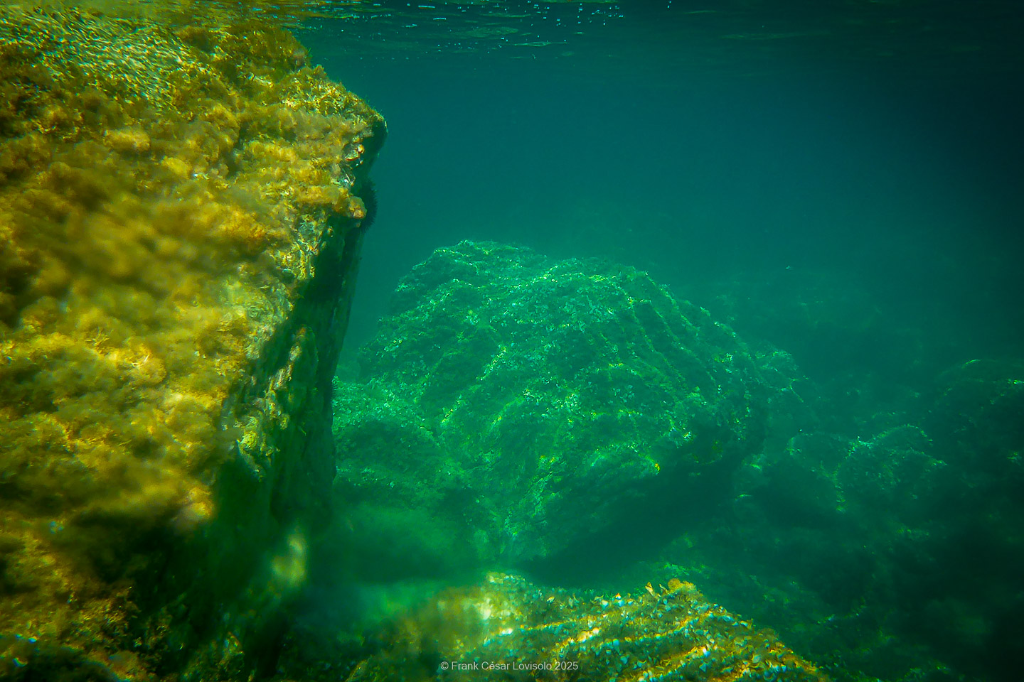 Snorkeling,Le port gréco-romain d’Olbia à Hyères - Sousleaugraphie - Snorkeling - Frank César LOVISOLO - La relation entre l’être humain et le milieu marin s’est progressivement transformée au cours des dernières décennies. Longtemps réservée aux pêcheurs, aux navigateurs ou aux plongeurs aguerris, l’exploration sous-marine s’est démocratisée grâce au développement d’équipements simples et accessibles. La randonnée sous-marine avec palmes et masque, également connue sous le nom de snorkeling, en constitue l’une des pratiques les plus populaires. Elle se caractérise par une immersion en surface, la plupart du temps à faible profondeur, permettant l’observation directe des fonds marins. Si elle est souvent perçue comme une activité de loisir, la randonnée palmée occupe une place croissante dans les domaines de l’éducation, de la sensibilisation à l’environnement et du tourisme durable. L’objectif de cet article est d’analyser cette pratique dans une perspective académique, en abordant successivement ses dimensions écologiques et pédagogiques, ses aspects socio-culturels et touristiques, ainsi que ses retombées physiologiques et sportives.