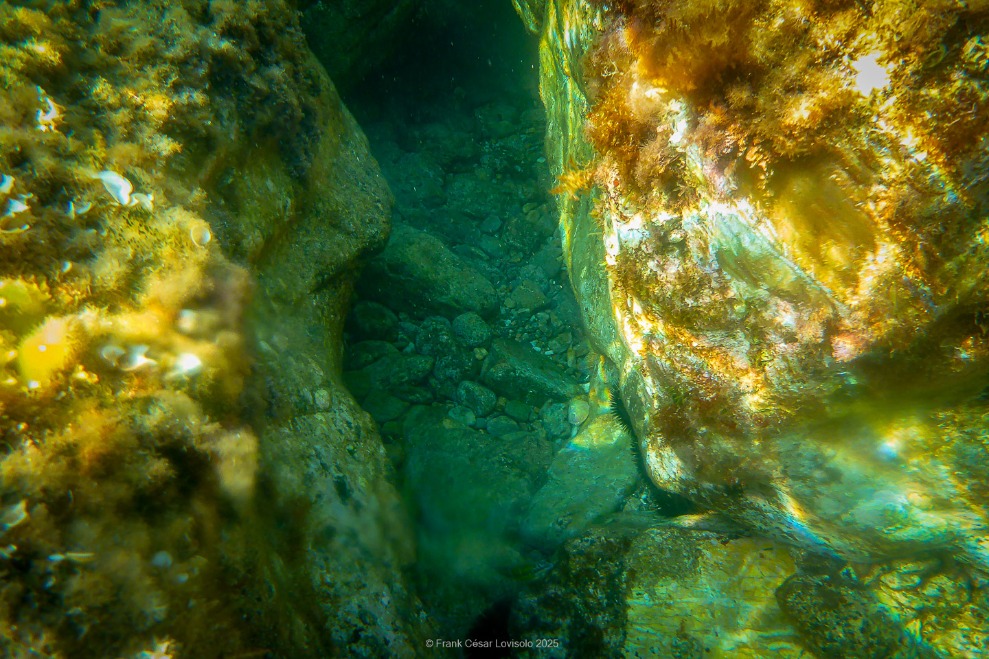 Snorkeling,Le port gréco-romain d’Olbia à Hyères - Sousleaugraphie - Snorkeling - Frank César LOVISOLO - La relation entre l’être humain et le milieu marin s’est progressivement transformée au cours des dernières décennies. Longtemps réservée aux pêcheurs, aux navigateurs ou aux plongeurs aguerris, l’exploration sous-marine s’est démocratisée grâce au développement d’équipements simples et accessibles. La randonnée sous-marine avec palmes et masque, également connue sous le nom de snorkeling, en constitue l’une des pratiques les plus populaires. Elle se caractérise par une immersion en surface, la plupart du temps à faible profondeur, permettant l’observation directe des fonds marins. Si elle est souvent perçue comme une activité de loisir, la randonnée palmée occupe une place croissante dans les domaines de l’éducation, de la sensibilisation à l’environnement et du tourisme durable. L’objectif de cet article est d’analyser cette pratique dans une perspective académique, en abordant successivement ses dimensions écologiques et pédagogiques, ses aspects socio-culturels et touristiques, ainsi que ses retombées physiologiques et sportives.