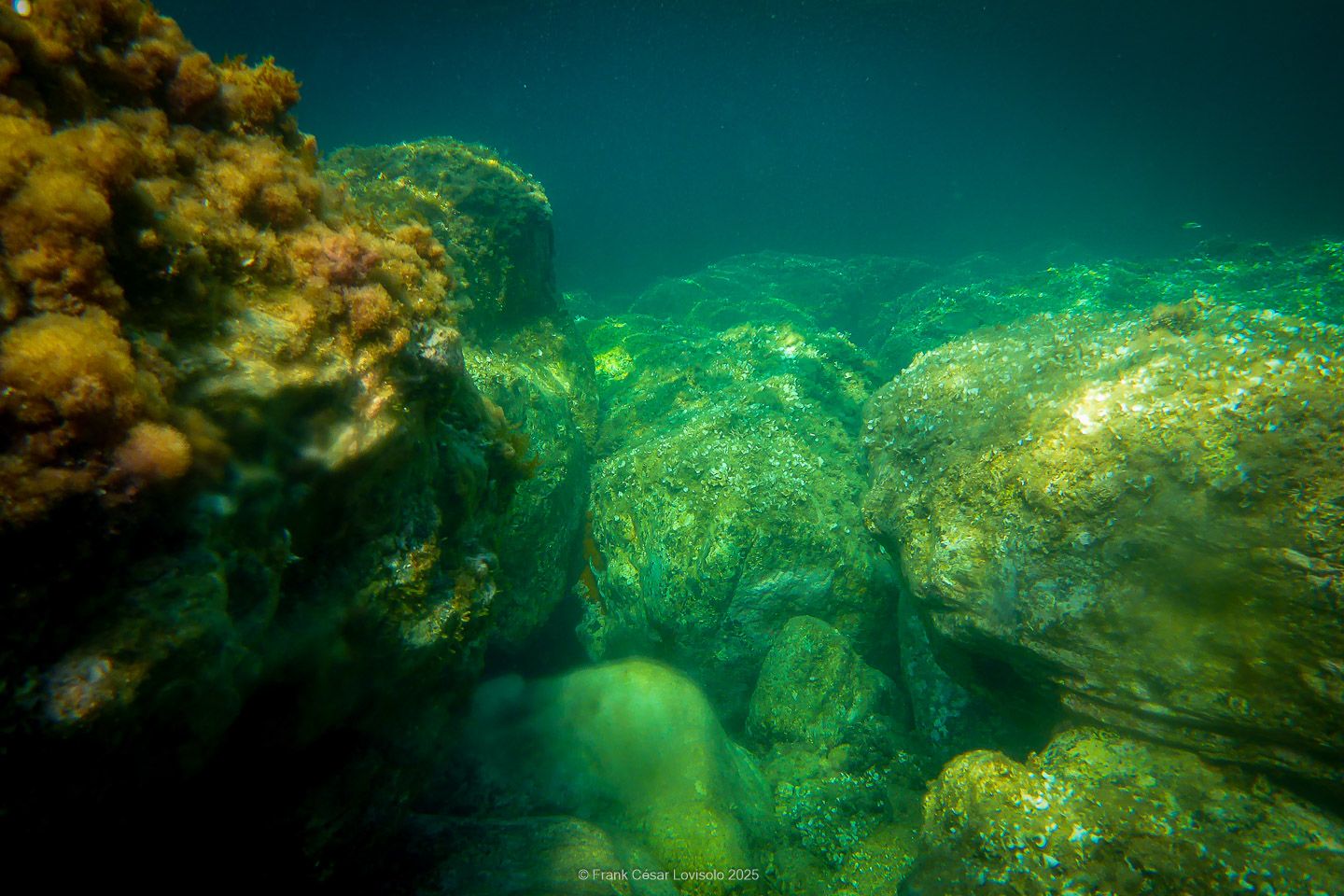 Snorkeling,Le port gréco-romain d’Olbia à Hyères - Sousleaugraphie - Snorkeling - Frank César LOVISOLO - La relation entre l’être humain et le milieu marin s’est progressivement transformée au cours des dernières décennies. Longtemps réservée aux pêcheurs, aux navigateurs ou aux plongeurs aguerris, l’exploration sous-marine s’est démocratisée grâce au développement d’équipements simples et accessibles. La randonnée sous-marine avec palmes et masque, également connue sous le nom de snorkeling, en constitue l’une des pratiques les plus populaires. Elle se caractérise par une immersion en surface, la plupart du temps à faible profondeur, permettant l’observation directe des fonds marins. Si elle est souvent perçue comme une activité de loisir, la randonnée palmée occupe une place croissante dans les domaines de l’éducation, de la sensibilisation à l’environnement et du tourisme durable. L’objectif de cet article est d’analyser cette pratique dans une perspective académique, en abordant successivement ses dimensions écologiques et pédagogiques, ses aspects socio-culturels et touristiques, ainsi que ses retombées physiologiques et sportives.