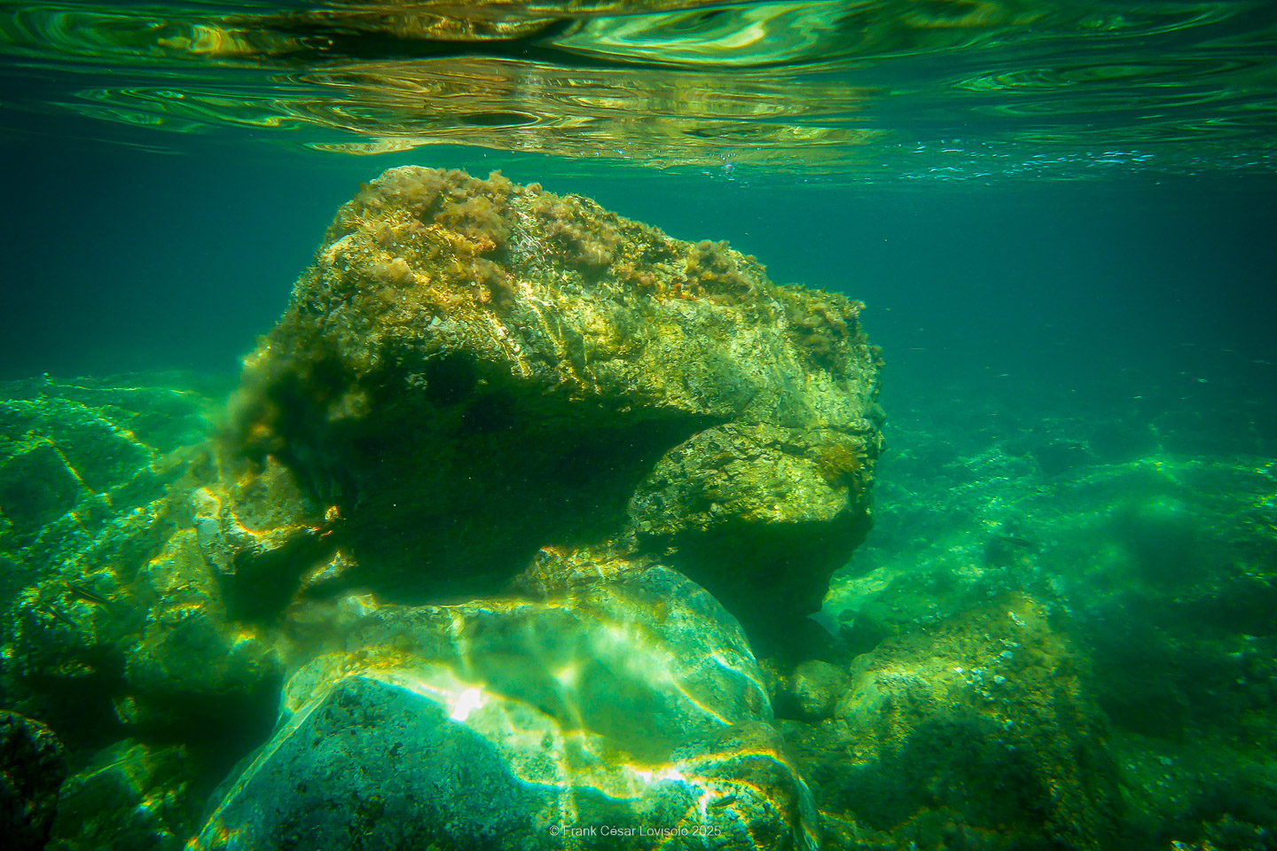Snorkeling,Le port gréco-romain d’Olbia à Hyères - Sousleaugraphie - Snorkeling - Frank César LOVISOLO - La relation entre l’être humain et le milieu marin s’est progressivement transformée au cours des dernières décennies. Longtemps réservée aux pêcheurs, aux navigateurs ou aux plongeurs aguerris, l’exploration sous-marine s’est démocratisée grâce au développement d’équipements simples et accessibles. La randonnée sous-marine avec palmes et masque, également connue sous le nom de snorkeling, en constitue l’une des pratiques les plus populaires. Elle se caractérise par une immersion en surface, la plupart du temps à faible profondeur, permettant l’observation directe des fonds marins. Si elle est souvent perçue comme une activité de loisir, la randonnée palmée occupe une place croissante dans les domaines de l’éducation, de la sensibilisation à l’environnement et du tourisme durable. L’objectif de cet article est d’analyser cette pratique dans une perspective académique, en abordant successivement ses dimensions écologiques et pédagogiques, ses aspects socio-culturels et touristiques, ainsi que ses retombées physiologiques et sportives.