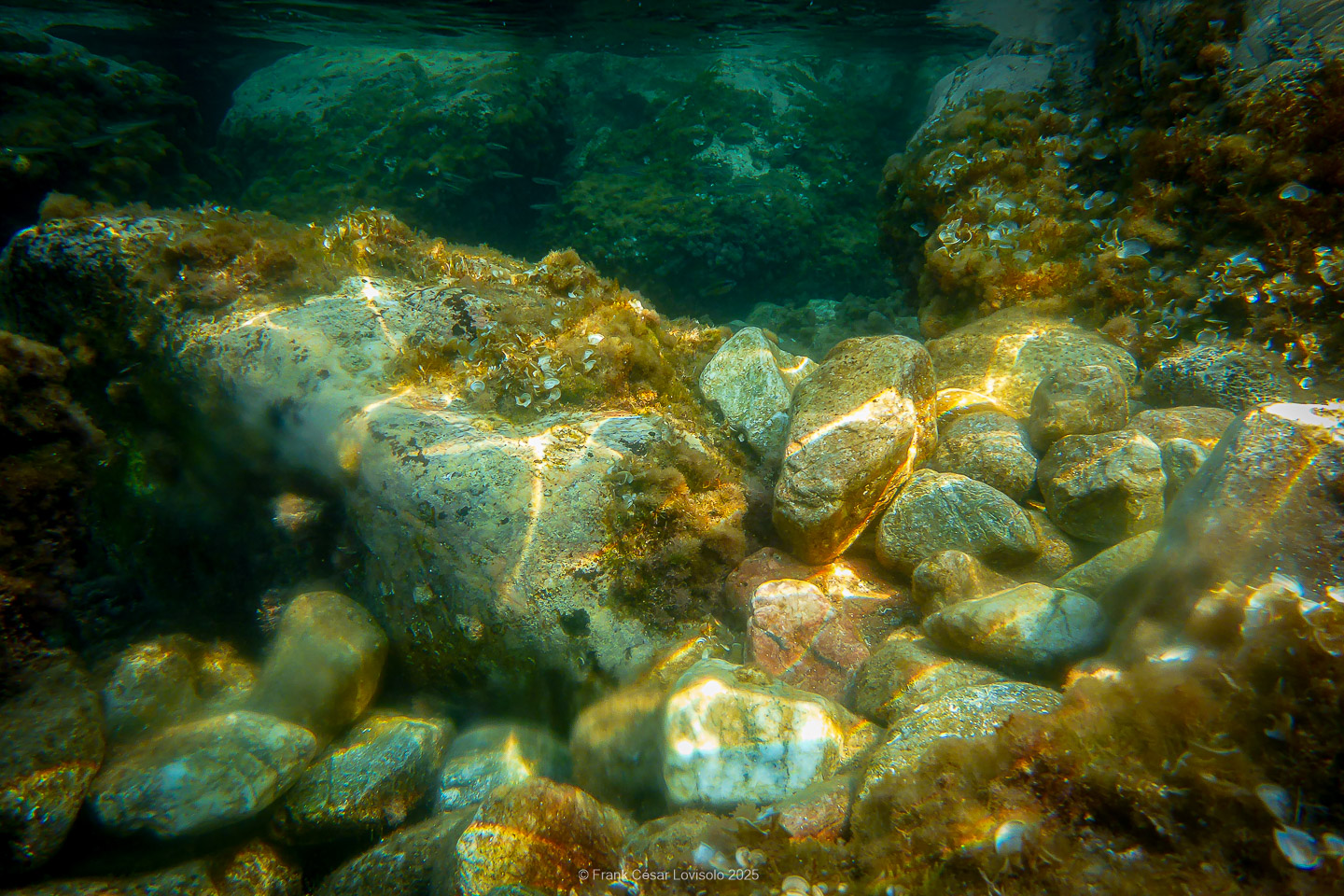 Snorkeling,Le port gréco-romain d’Olbia à Hyères - Sousleaugraphie - Snorkeling - Frank César LOVISOLO - La relation entre l’être humain et le milieu marin s’est progressivement transformée au cours des dernières décennies. Longtemps réservée aux pêcheurs, aux navigateurs ou aux plongeurs aguerris, l’exploration sous-marine s’est démocratisée grâce au développement d’équipements simples et accessibles. La randonnée sous-marine avec palmes et masque, également connue sous le nom de snorkeling, en constitue l’une des pratiques les plus populaires. Elle se caractérise par une immersion en surface, la plupart du temps à faible profondeur, permettant l’observation directe des fonds marins. Si elle est souvent perçue comme une activité de loisir, la randonnée palmée occupe une place croissante dans les domaines de l’éducation, de la sensibilisation à l’environnement et du tourisme durable. L’objectif de cet article est d’analyser cette pratique dans une perspective académique, en abordant successivement ses dimensions écologiques et pédagogiques, ses aspects socio-culturels et touristiques, ainsi que ses retombées physiologiques et sportives.