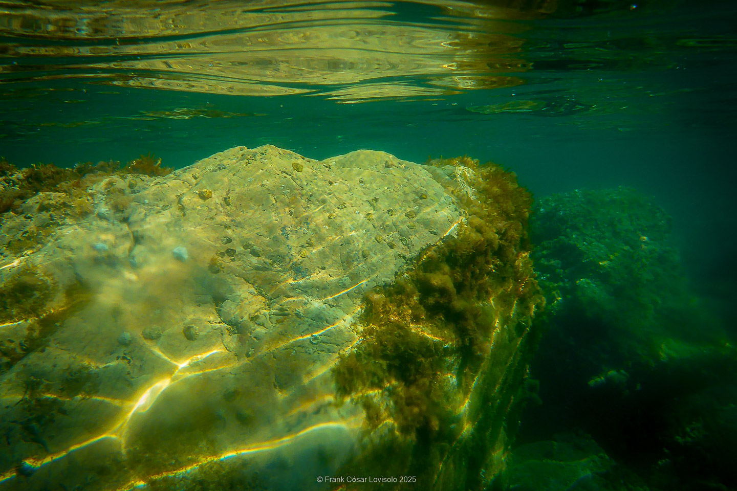 Snorkeling,Le port gréco-romain d’Olbia à Hyères - Sousleaugraphie - Snorkeling - Frank César LOVISOLO - La relation entre l’être humain et le milieu marin s’est progressivement transformée au cours des dernières décennies. Longtemps réservée aux pêcheurs, aux navigateurs ou aux plongeurs aguerris, l’exploration sous-marine s’est démocratisée grâce au développement d’équipements simples et accessibles. La randonnée sous-marine avec palmes et masque, également connue sous le nom de snorkeling, en constitue l’une des pratiques les plus populaires. Elle se caractérise par une immersion en surface, la plupart du temps à faible profondeur, permettant l’observation directe des fonds marins. Si elle est souvent perçue comme une activité de loisir, la randonnée palmée occupe une place croissante dans les domaines de l’éducation, de la sensibilisation à l’environnement et du tourisme durable. L’objectif de cet article est d’analyser cette pratique dans une perspective académique, en abordant successivement ses dimensions écologiques et pédagogiques, ses aspects socio-culturels et touristiques, ainsi que ses retombées physiologiques et sportives.