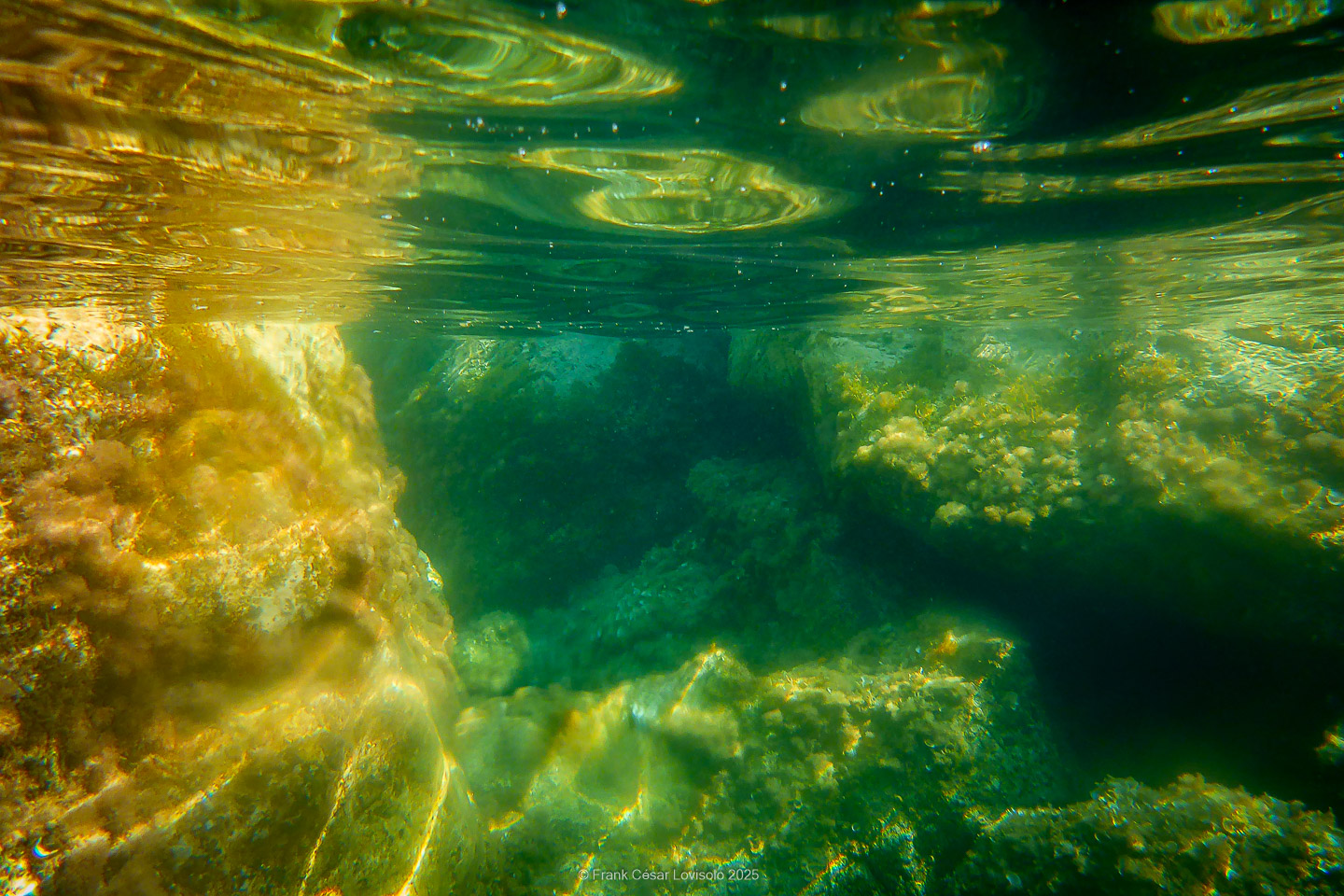 Snorkeling,Le port gréco-romain d’Olbia à Hyères - Sousleaugraphie - Snorkeling - Frank César LOVISOLO - La relation entre l’être humain et le milieu marin s’est progressivement transformée au cours des dernières décennies. Longtemps réservée aux pêcheurs, aux navigateurs ou aux plongeurs aguerris, l’exploration sous-marine s’est démocratisée grâce au développement d’équipements simples et accessibles. La randonnée sous-marine avec palmes et masque, également connue sous le nom de snorkeling, en constitue l’une des pratiques les plus populaires. Elle se caractérise par une immersion en surface, la plupart du temps à faible profondeur, permettant l’observation directe des fonds marins. Si elle est souvent perçue comme une activité de loisir, la randonnée palmée occupe une place croissante dans les domaines de l’éducation, de la sensibilisation à l’environnement et du tourisme durable. L’objectif de cet article est d’analyser cette pratique dans une perspective académique, en abordant successivement ses dimensions écologiques et pédagogiques, ses aspects socio-culturels et touristiques, ainsi que ses retombées physiologiques et sportives.