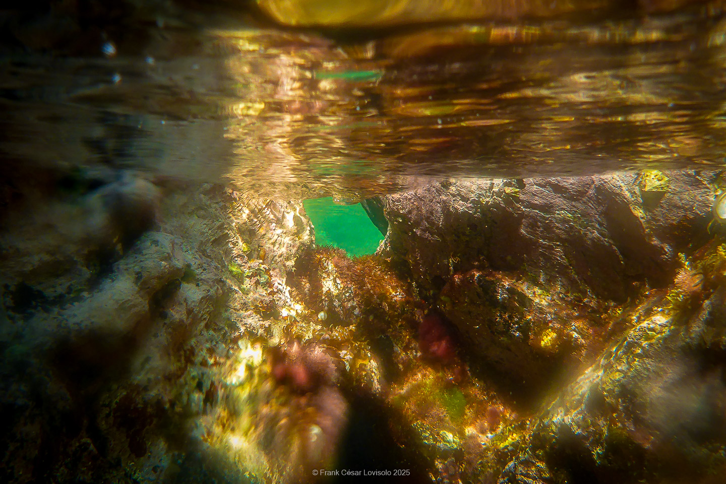 Snorkeling,Le port gréco-romain d’Olbia à Hyères - Sousleaugraphie - Snorkeling - Frank César LOVISOLO - La relation entre l’être humain et le milieu marin s’est progressivement transformée au cours des dernières décennies. Longtemps réservée aux pêcheurs, aux navigateurs ou aux plongeurs aguerris, l’exploration sous-marine s’est démocratisée grâce au développement d’équipements simples et accessibles. La randonnée sous-marine avec palmes et masque, également connue sous le nom de snorkeling, en constitue l’une des pratiques les plus populaires. Elle se caractérise par une immersion en surface, la plupart du temps à faible profondeur, permettant l’observation directe des fonds marins. Si elle est souvent perçue comme une activité de loisir, la randonnée palmée occupe une place croissante dans les domaines de l’éducation, de la sensibilisation à l’environnement et du tourisme durable. L’objectif de cet article est d’analyser cette pratique dans une perspective académique, en abordant successivement ses dimensions écologiques et pédagogiques, ses aspects socio-culturels et touristiques, ainsi que ses retombées physiologiques et sportives.