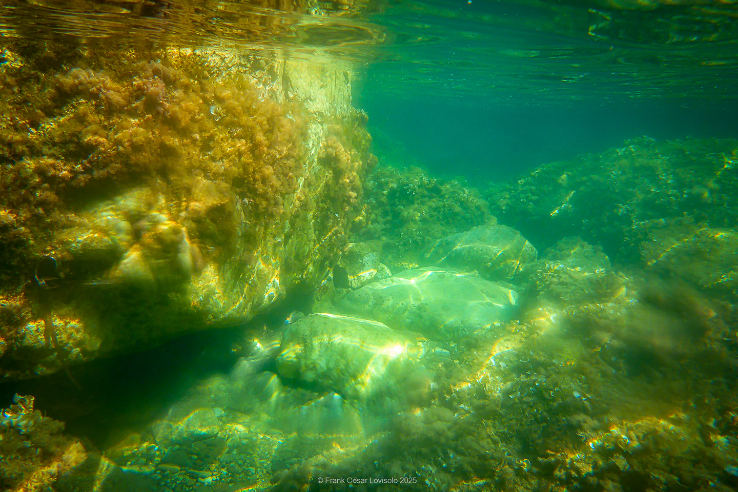Snorkeling,Le port gréco-romain d’Olbia à Hyères - Sousleaugraphie - Snorkeling - Frank César LOVISOLO - La relation entre l’être humain et le milieu marin s’est progressivement transformée au cours des dernières décennies. Longtemps réservée aux pêcheurs, aux navigateurs ou aux plongeurs aguerris, l’exploration sous-marine s’est démocratisée grâce au développement d’équipements simples et accessibles. La randonnée sous-marine avec palmes et masque, également connue sous le nom de snorkeling, en constitue l’une des pratiques les plus populaires. Elle se caractérise par une immersion en surface, la plupart du temps à faible profondeur, permettant l’observation directe des fonds marins. Si elle est souvent perçue comme une activité de loisir, la randonnée palmée occupe une place croissante dans les domaines de l’éducation, de la sensibilisation à l’environnement et du tourisme durable. L’objectif de cet article est d’analyser cette pratique dans une perspective académique, en abordant successivement ses dimensions écologiques et pédagogiques, ses aspects socio-culturels et touristiques, ainsi que ses retombées physiologiques et sportives.
