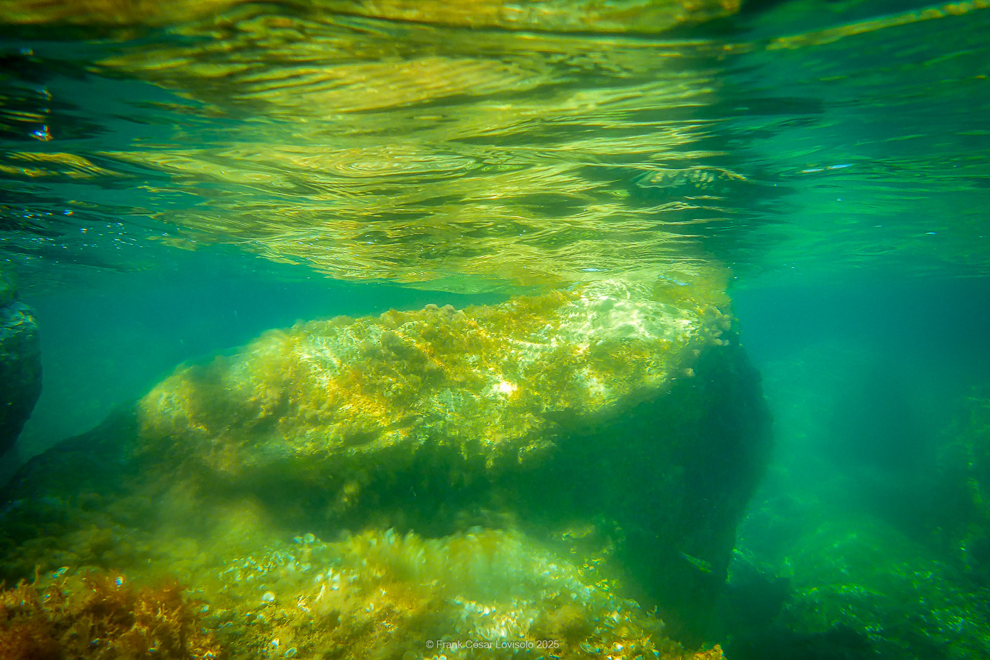 Snorkeling,Le port gréco-romain d’Olbia à Hyères - Sousleaugraphie - Snorkeling - Frank César LOVISOLO - La relation entre l’être humain et le milieu marin s’est progressivement transformée au cours des dernières décennies. Longtemps réservée aux pêcheurs, aux navigateurs ou aux plongeurs aguerris, l’exploration sous-marine s’est démocratisée grâce au développement d’équipements simples et accessibles. La randonnée sous-marine avec palmes et masque, également connue sous le nom de snorkeling, en constitue l’une des pratiques les plus populaires. Elle se caractérise par une immersion en surface, la plupart du temps à faible profondeur, permettant l’observation directe des fonds marins. Si elle est souvent perçue comme une activité de loisir, la randonnée palmée occupe une place croissante dans les domaines de l’éducation, de la sensibilisation à l’environnement et du tourisme durable. L’objectif de cet article est d’analyser cette pratique dans une perspective académique, en abordant successivement ses dimensions écologiques et pédagogiques, ses aspects socio-culturels et touristiques, ainsi que ses retombées physiologiques et sportives.