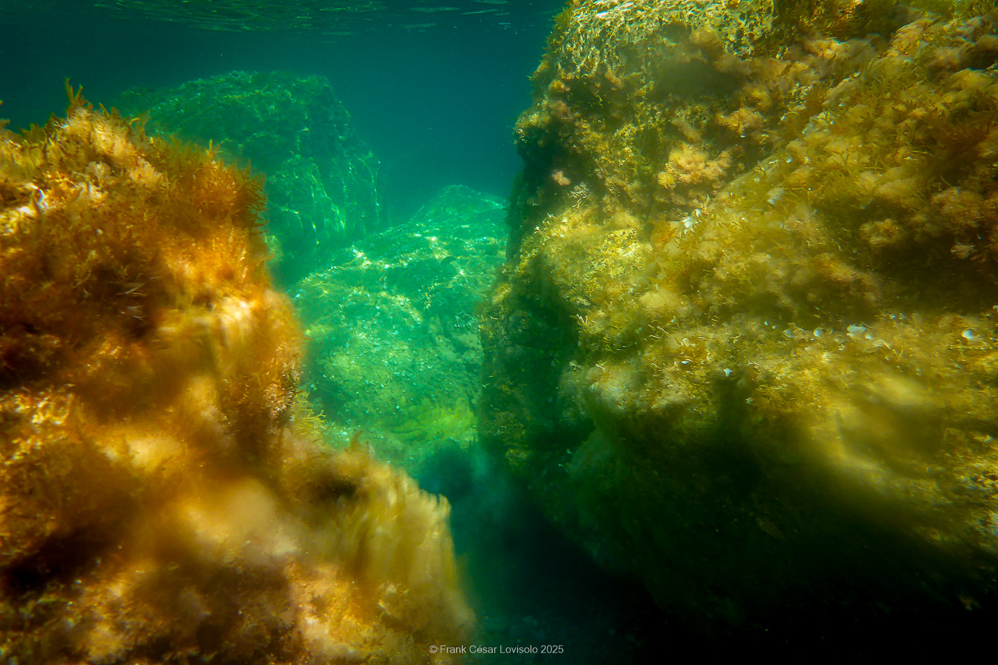 Snorkeling,Le port gréco-romain d’Olbia à Hyères - Sousleaugraphie - Snorkeling - Frank César LOVISOLO - La relation entre l’être humain et le milieu marin s’est progressivement transformée au cours des dernières décennies. Longtemps réservée aux pêcheurs, aux navigateurs ou aux plongeurs aguerris, l’exploration sous-marine s’est démocratisée grâce au développement d’équipements simples et accessibles. La randonnée sous-marine avec palmes et masque, également connue sous le nom de snorkeling, en constitue l’une des pratiques les plus populaires. Elle se caractérise par une immersion en surface, la plupart du temps à faible profondeur, permettant l’observation directe des fonds marins. Si elle est souvent perçue comme une activité de loisir, la randonnée palmée occupe une place croissante dans les domaines de l’éducation, de la sensibilisation à l’environnement et du tourisme durable. L’objectif de cet article est d’analyser cette pratique dans une perspective académique, en abordant successivement ses dimensions écologiques et pédagogiques, ses aspects socio-culturels et touristiques, ainsi que ses retombées physiologiques et sportives.