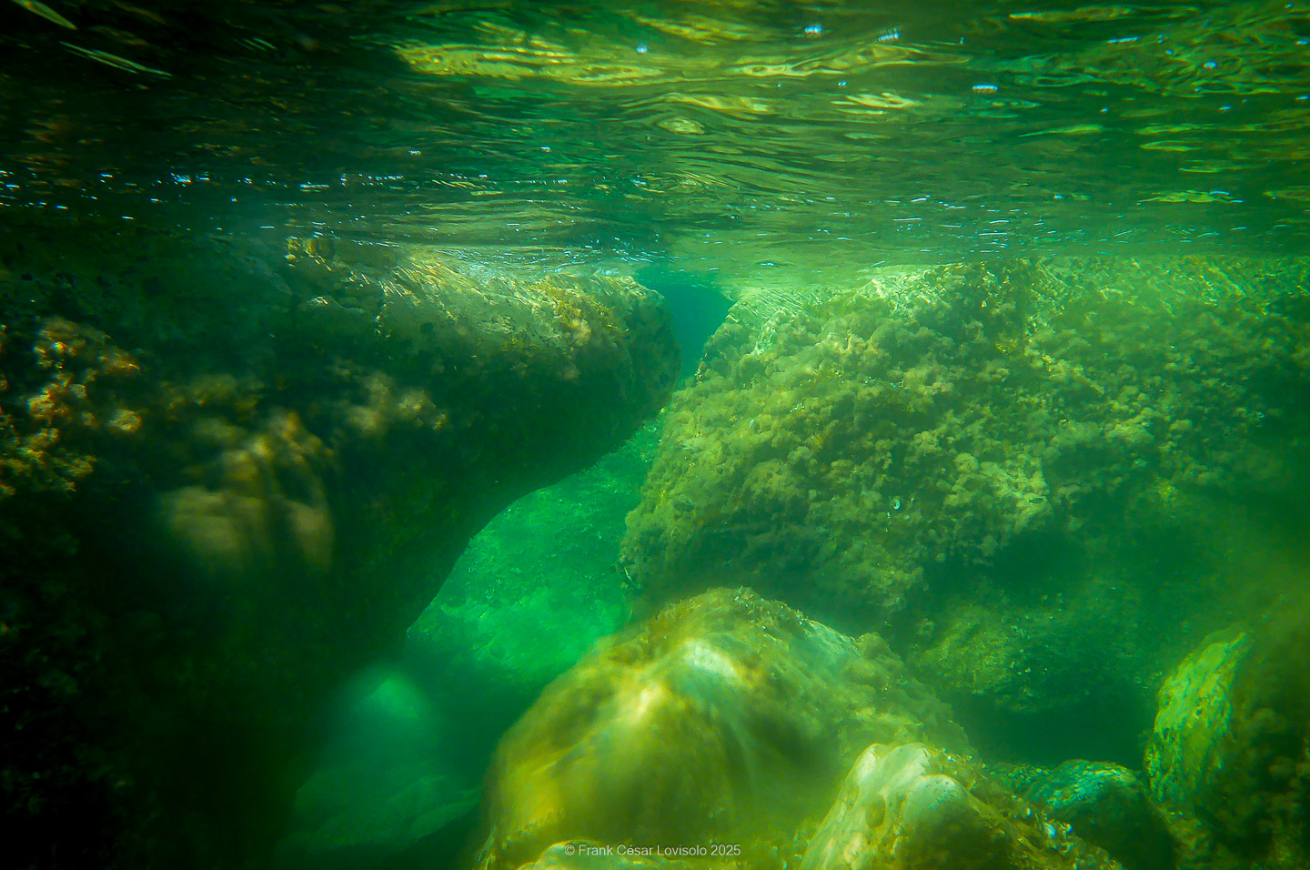 Snorkeling,Le port gréco-romain d’Olbia à Hyères - Sousleaugraphie - Snorkeling - Frank César LOVISOLO - La relation entre l’être humain et le milieu marin s’est progressivement transformée au cours des dernières décennies. Longtemps réservée aux pêcheurs, aux navigateurs ou aux plongeurs aguerris, l’exploration sous-marine s’est démocratisée grâce au développement d’équipements simples et accessibles. La randonnée sous-marine avec palmes et masque, également connue sous le nom de snorkeling, en constitue l’une des pratiques les plus populaires. Elle se caractérise par une immersion en surface, la plupart du temps à faible profondeur, permettant l’observation directe des fonds marins. Si elle est souvent perçue comme une activité de loisir, la randonnée palmée occupe une place croissante dans les domaines de l’éducation, de la sensibilisation à l’environnement et du tourisme durable. L’objectif de cet article est d’analyser cette pratique dans une perspective académique, en abordant successivement ses dimensions écologiques et pédagogiques, ses aspects socio-culturels et touristiques, ainsi que ses retombées physiologiques et sportives.