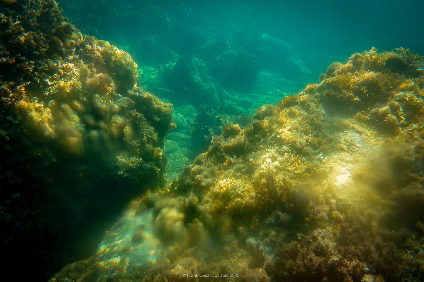 Snorkeling,Le port gréco-romain d’Olbia à Hyères - Sousleaugraphie - Snorkeling - Frank César LOVISOLO - La relation entre l’être humain et le milieu marin s’est progressivement transformée au cours des dernières décennies. Longtemps réservée aux pêcheurs, aux navigateurs ou aux plongeurs aguerris, l’exploration sous-marine s’est démocratisée grâce au développement d’équipements simples et accessibles. La randonnée sous-marine avec palmes et masque, également connue sous le nom de snorkeling, en constitue l’une des pratiques les plus populaires. Elle se caractérise par une immersion en surface, la plupart du temps à faible profondeur, permettant l’observation directe des fonds marins. Si elle est souvent perçue comme une activité de loisir, la randonnée palmée occupe une place croissante dans les domaines de l’éducation, de la sensibilisation à l’environnement et du tourisme durable. L’objectif de cet article est d’analyser cette pratique dans une perspective académique, en abordant successivement ses dimensions écologiques et pédagogiques, ses aspects socio-culturels et touristiques, ainsi que ses retombées physiologiques et sportives.