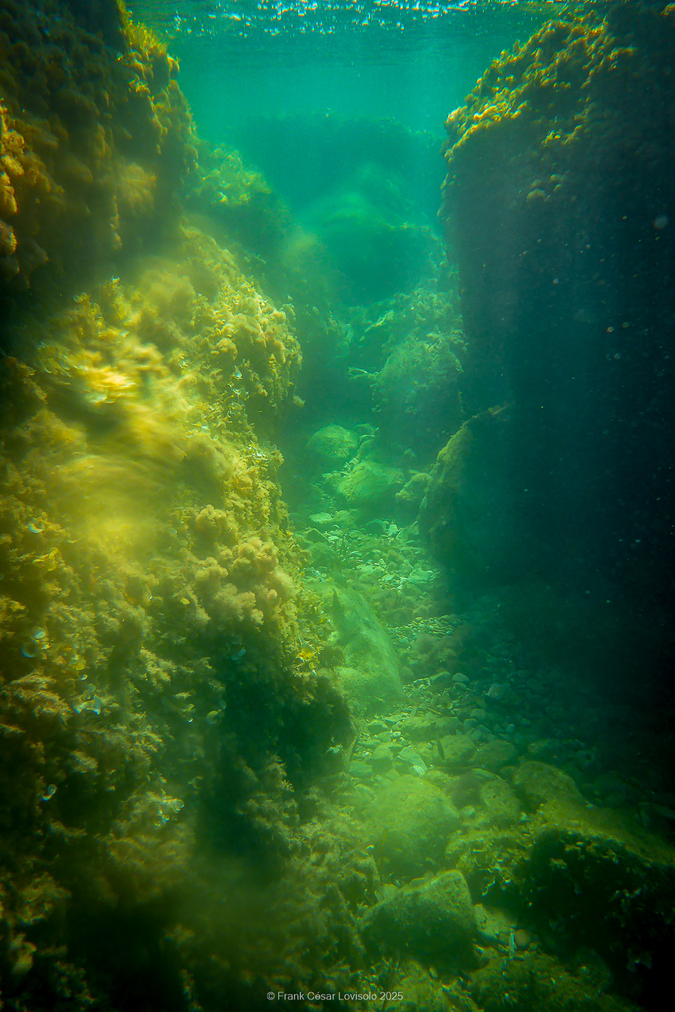 Snorkeling,Le port gréco-romain d’Olbia à Hyères - Sousleaugraphie - Snorkeling - Frank César LOVISOLO - La relation entre l’être humain et le milieu marin s’est progressivement transformée au cours des dernières décennies. Longtemps réservée aux pêcheurs, aux navigateurs ou aux plongeurs aguerris, l’exploration sous-marine s’est démocratisée grâce au développement d’équipements simples et accessibles. La randonnée sous-marine avec palmes et masque, également connue sous le nom de snorkeling, en constitue l’une des pratiques les plus populaires. Elle se caractérise par une immersion en surface, la plupart du temps à faible profondeur, permettant l’observation directe des fonds marins. Si elle est souvent perçue comme une activité de loisir, la randonnée palmée occupe une place croissante dans les domaines de l’éducation, de la sensibilisation à l’environnement et du tourisme durable. L’objectif de cet article est d’analyser cette pratique dans une perspective académique, en abordant successivement ses dimensions écologiques et pédagogiques, ses aspects socio-culturels et touristiques, ainsi que ses retombées physiologiques et sportives.