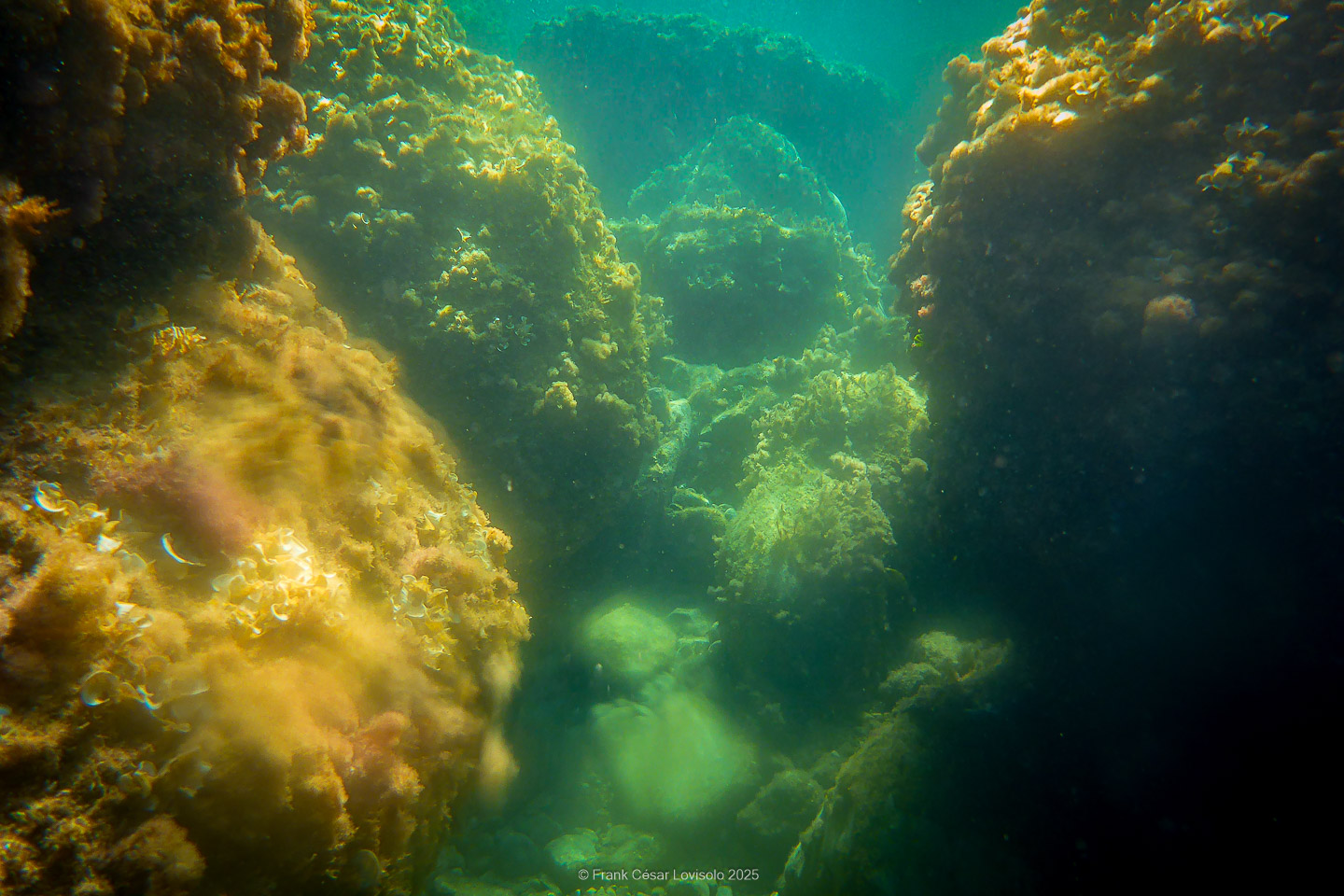 Snorkeling,Le port gréco-romain d’Olbia à Hyères - Sousleaugraphie - Snorkeling - Frank César LOVISOLO - La relation entre l’être humain et le milieu marin s’est progressivement transformée au cours des dernières décennies. Longtemps réservée aux pêcheurs, aux navigateurs ou aux plongeurs aguerris, l’exploration sous-marine s’est démocratisée grâce au développement d’équipements simples et accessibles. La randonnée sous-marine avec palmes et masque, également connue sous le nom de snorkeling, en constitue l’une des pratiques les plus populaires. Elle se caractérise par une immersion en surface, la plupart du temps à faible profondeur, permettant l’observation directe des fonds marins. Si elle est souvent perçue comme une activité de loisir, la randonnée palmée occupe une place croissante dans les domaines de l’éducation, de la sensibilisation à l’environnement et du tourisme durable. L’objectif de cet article est d’analyser cette pratique dans une perspective académique, en abordant successivement ses dimensions écologiques et pédagogiques, ses aspects socio-culturels et touristiques, ainsi que ses retombées physiologiques et sportives.