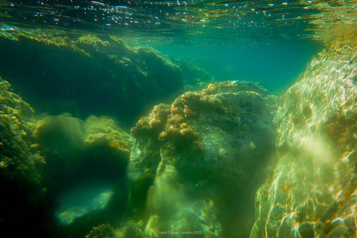Snorkeling,Le port gréco-romain d’Olbia à Hyères - Sousleaugraphie - Snorkeling - Frank César LOVISOLO - La relation entre l’être humain et le milieu marin s’est progressivement transformée au cours des dernières décennies. Longtemps réservée aux pêcheurs, aux navigateurs ou aux plongeurs aguerris, l’exploration sous-marine s’est démocratisée grâce au développement d’équipements simples et accessibles. La randonnée sous-marine avec palmes et masque, également connue sous le nom de snorkeling, en constitue l’une des pratiques les plus populaires. Elle se caractérise par une immersion en surface, la plupart du temps à faible profondeur, permettant l’observation directe des fonds marins. Si elle est souvent perçue comme une activité de loisir, la randonnée palmée occupe une place croissante dans les domaines de l’éducation, de la sensibilisation à l’environnement et du tourisme durable. L’objectif de cet article est d’analyser cette pratique dans une perspective académique, en abordant successivement ses dimensions écologiques et pédagogiques, ses aspects socio-culturels et touristiques, ainsi que ses retombées physiologiques et sportives.