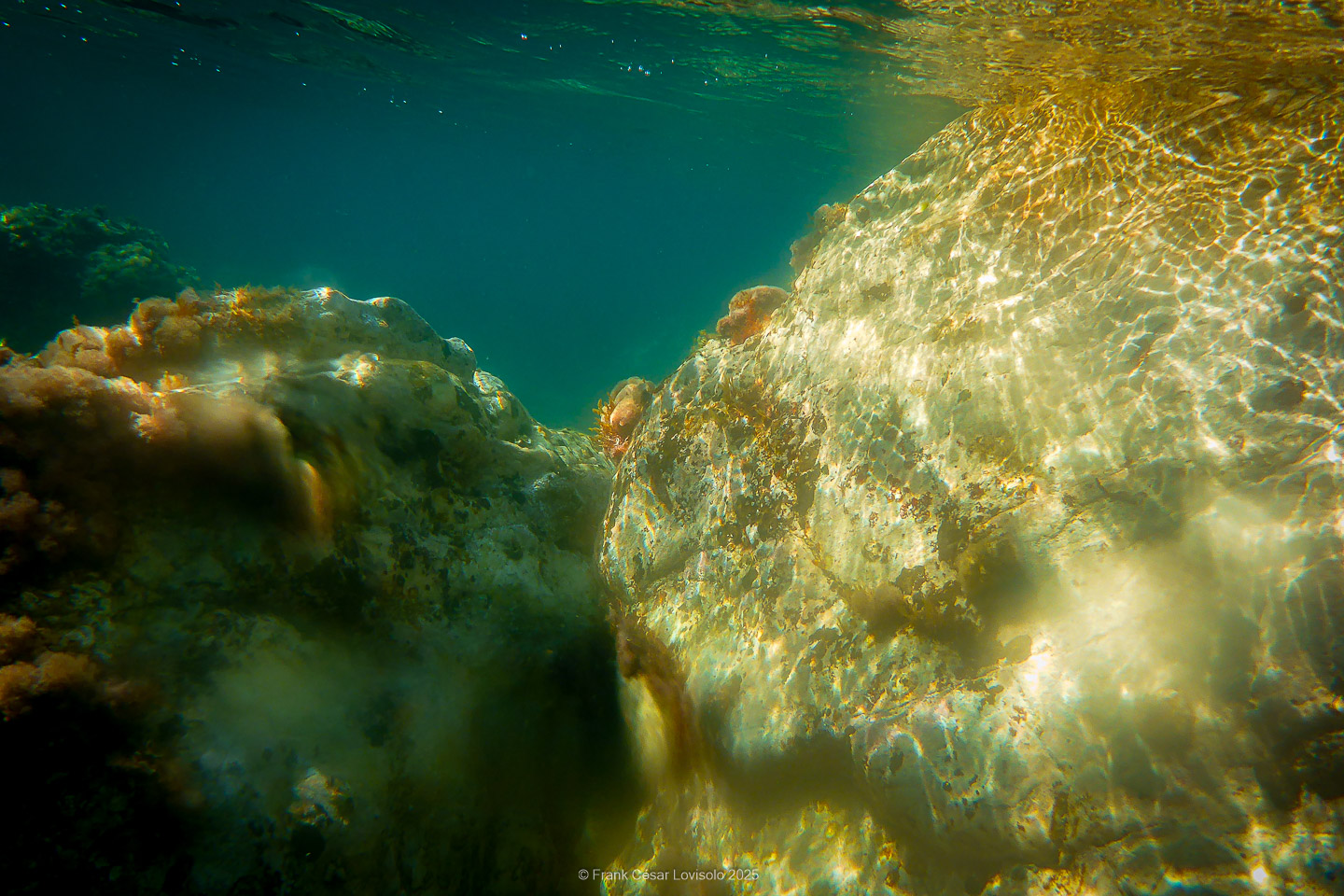 Snorkeling,Le port gréco-romain d’Olbia à Hyères - Sousleaugraphie - Snorkeling - Frank César LOVISOLO - La relation entre l’être humain et le milieu marin s’est progressivement transformée au cours des dernières décennies. Longtemps réservée aux pêcheurs, aux navigateurs ou aux plongeurs aguerris, l’exploration sous-marine s’est démocratisée grâce au développement d’équipements simples et accessibles. La randonnée sous-marine avec palmes et masque, également connue sous le nom de snorkeling, en constitue l’une des pratiques les plus populaires. Elle se caractérise par une immersion en surface, la plupart du temps à faible profondeur, permettant l’observation directe des fonds marins. Si elle est souvent perçue comme une activité de loisir, la randonnée palmée occupe une place croissante dans les domaines de l’éducation, de la sensibilisation à l’environnement et du tourisme durable. L’objectif de cet article est d’analyser cette pratique dans une perspective académique, en abordant successivement ses dimensions écologiques et pédagogiques, ses aspects socio-culturels et touristiques, ainsi que ses retombées physiologiques et sportives.