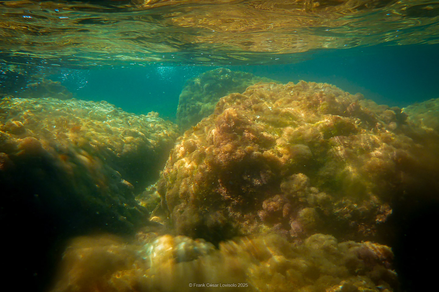 Snorkeling,Le port gréco-romain d’Olbia à Hyères - Sousleaugraphie - Snorkeling - Frank César LOVISOLO - La relation entre l’être humain et le milieu marin s’est progressivement transformée au cours des dernières décennies. Longtemps réservée aux pêcheurs, aux navigateurs ou aux plongeurs aguerris, l’exploration sous-marine s’est démocratisée grâce au développement d’équipements simples et accessibles. La randonnée sous-marine avec palmes et masque, également connue sous le nom de snorkeling, en constitue l’une des pratiques les plus populaires. Elle se caractérise par une immersion en surface, la plupart du temps à faible profondeur, permettant l’observation directe des fonds marins. Si elle est souvent perçue comme une activité de loisir, la randonnée palmée occupe une place croissante dans les domaines de l’éducation, de la sensibilisation à l’environnement et du tourisme durable. L’objectif de cet article est d’analyser cette pratique dans une perspective académique, en abordant successivement ses dimensions écologiques et pédagogiques, ses aspects socio-culturels et touristiques, ainsi que ses retombées physiologiques et sportives.