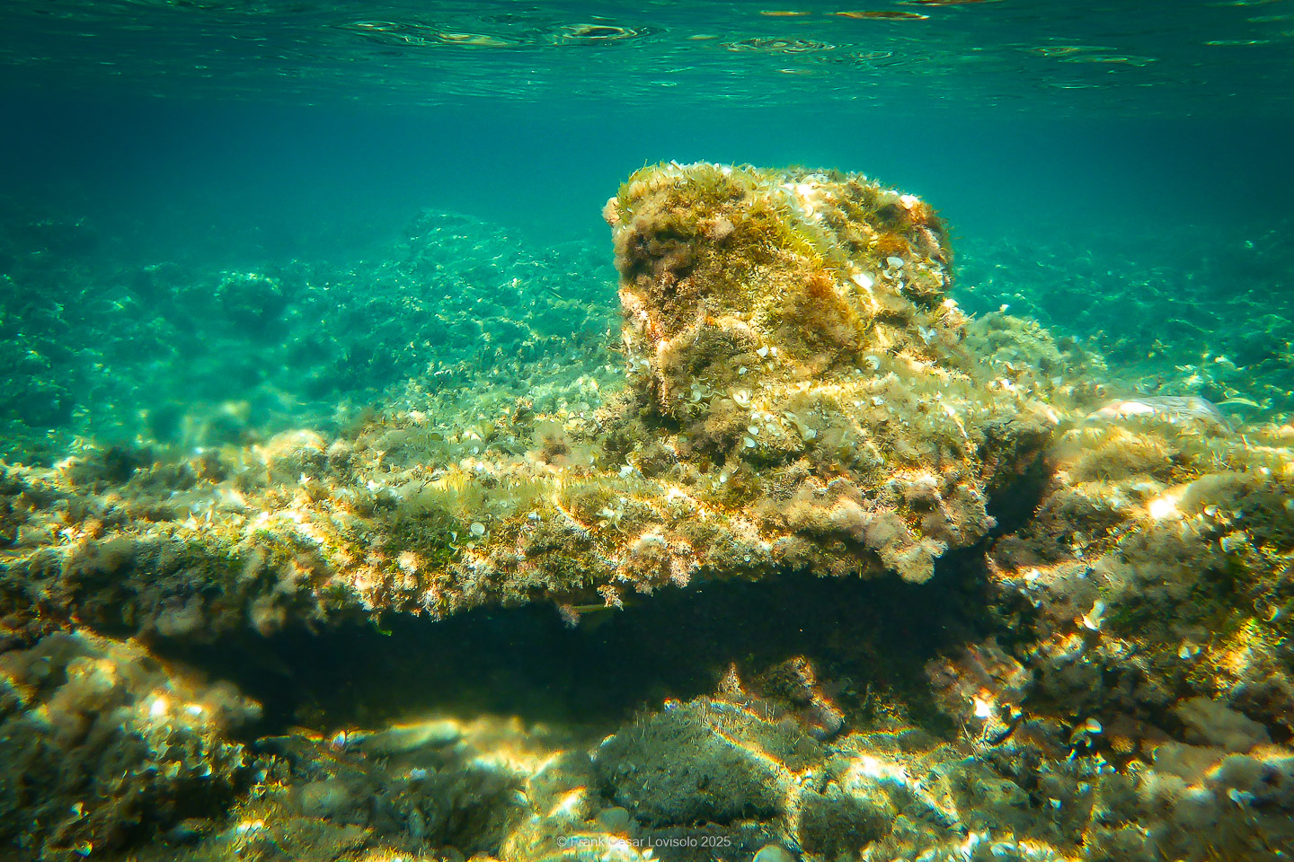 Snorkeling,Le port gréco-romain d’Olbia à Hyères - Sousleaugraphie - Snorkeling - Frank César LOVISOLO - La relation entre l’être humain et le milieu marin s’est progressivement transformée au cours des dernières décennies. Longtemps réservée aux pêcheurs, aux navigateurs ou aux plongeurs aguerris, l’exploration sous-marine s’est démocratisée grâce au développement d’équipements simples et accessibles. La randonnée sous-marine avec palmes et masque, également connue sous le nom de snorkeling, en constitue l’une des pratiques les plus populaires. Elle se caractérise par une immersion en surface, la plupart du temps à faible profondeur, permettant l’observation directe des fonds marins. Si elle est souvent perçue comme une activité de loisir, la randonnée palmée occupe une place croissante dans les domaines de l’éducation, de la sensibilisation à l’environnement et du tourisme durable. L’objectif de cet article est d’analyser cette pratique dans une perspective académique, en abordant successivement ses dimensions écologiques et pédagogiques, ses aspects socio-culturels et touristiques, ainsi que ses retombées physiologiques et sportives.