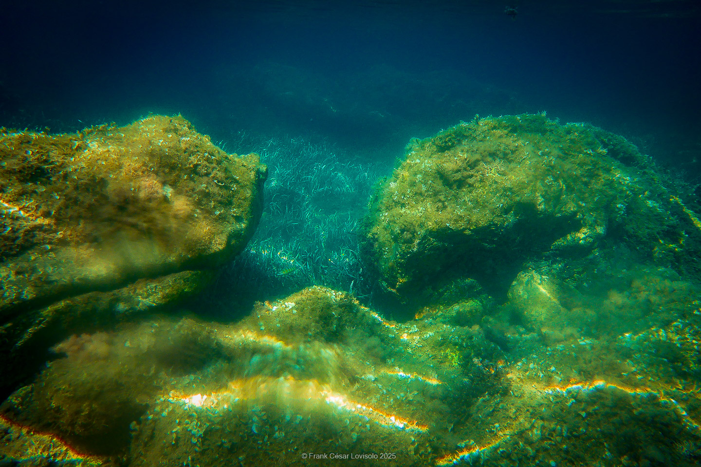 Snorkeling,Le port gréco-romain d’Olbia à Hyères - Sousleaugraphie - Snorkeling - Frank César LOVISOLO - La relation entre l’être humain et le milieu marin s’est progressivement transformée au cours des dernières décennies. Longtemps réservée aux pêcheurs, aux navigateurs ou aux plongeurs aguerris, l’exploration sous-marine s’est démocratisée grâce au développement d’équipements simples et accessibles. La randonnée sous-marine avec palmes et masque, également connue sous le nom de snorkeling, en constitue l’une des pratiques les plus populaires. Elle se caractérise par une immersion en surface, la plupart du temps à faible profondeur, permettant l’observation directe des fonds marins. Si elle est souvent perçue comme une activité de loisir, la randonnée palmée occupe une place croissante dans les domaines de l’éducation, de la sensibilisation à l’environnement et du tourisme durable. L’objectif de cet article est d’analyser cette pratique dans une perspective académique, en abordant successivement ses dimensions écologiques et pédagogiques, ses aspects socio-culturels et touristiques, ainsi que ses retombées physiologiques et sportives.