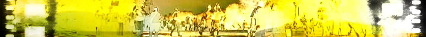 Frank-Cesar Lovisolo Frank-Cesar Lovisolo